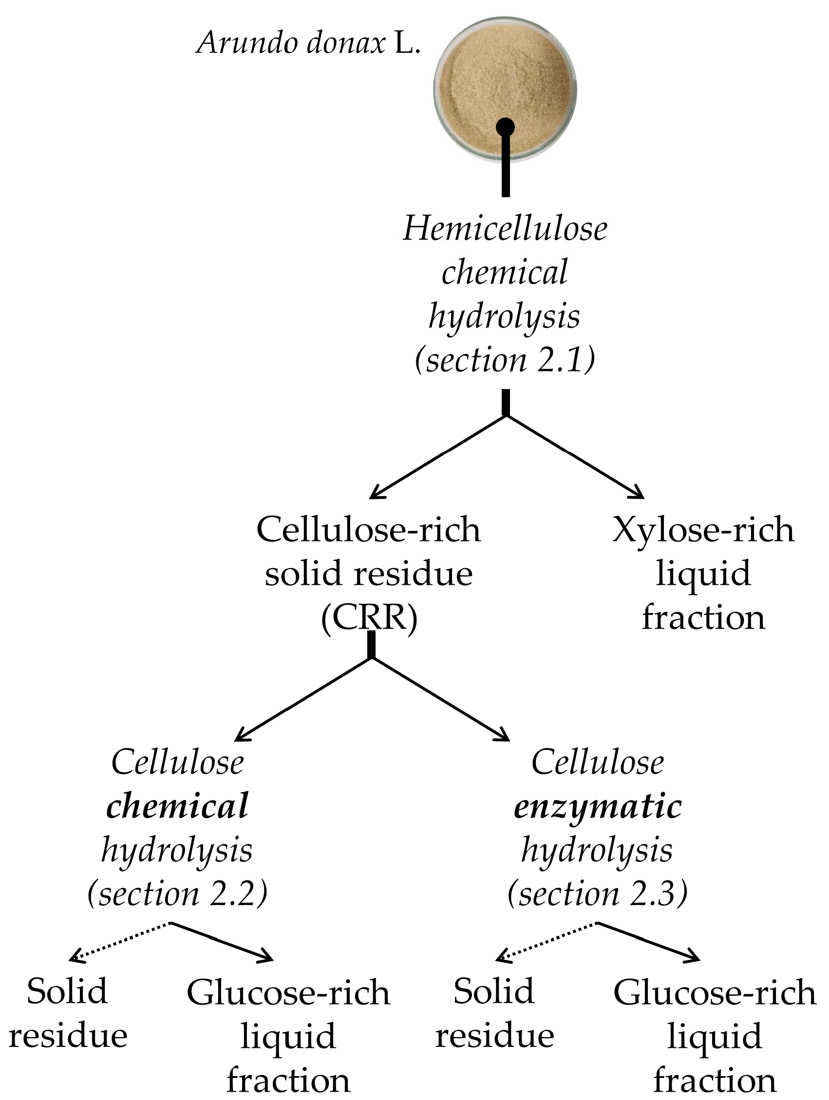 Catalysts 10 00079 g002 Catalysts 10 00079 g002