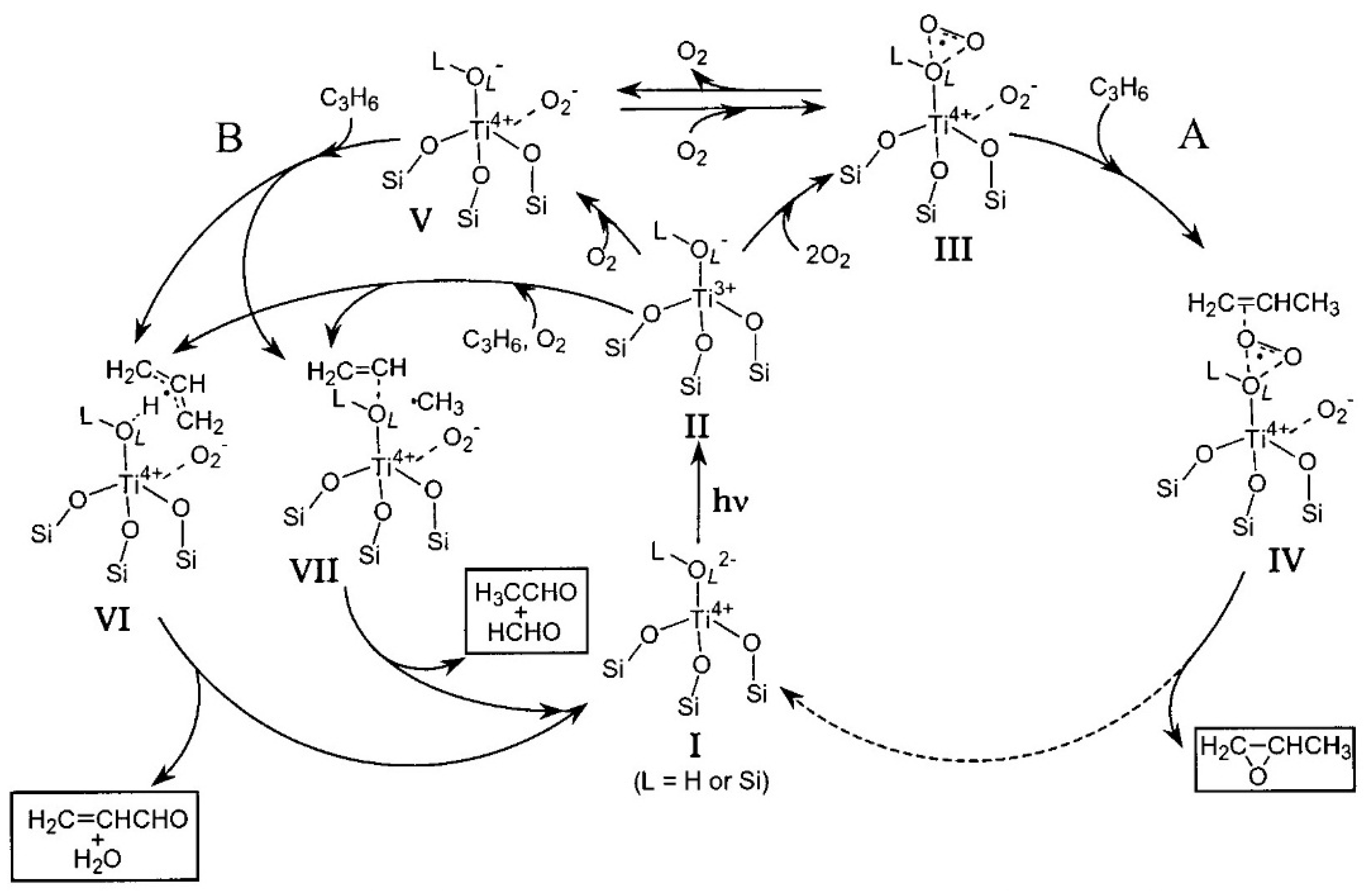 Catalysts 10 00087 sch002
