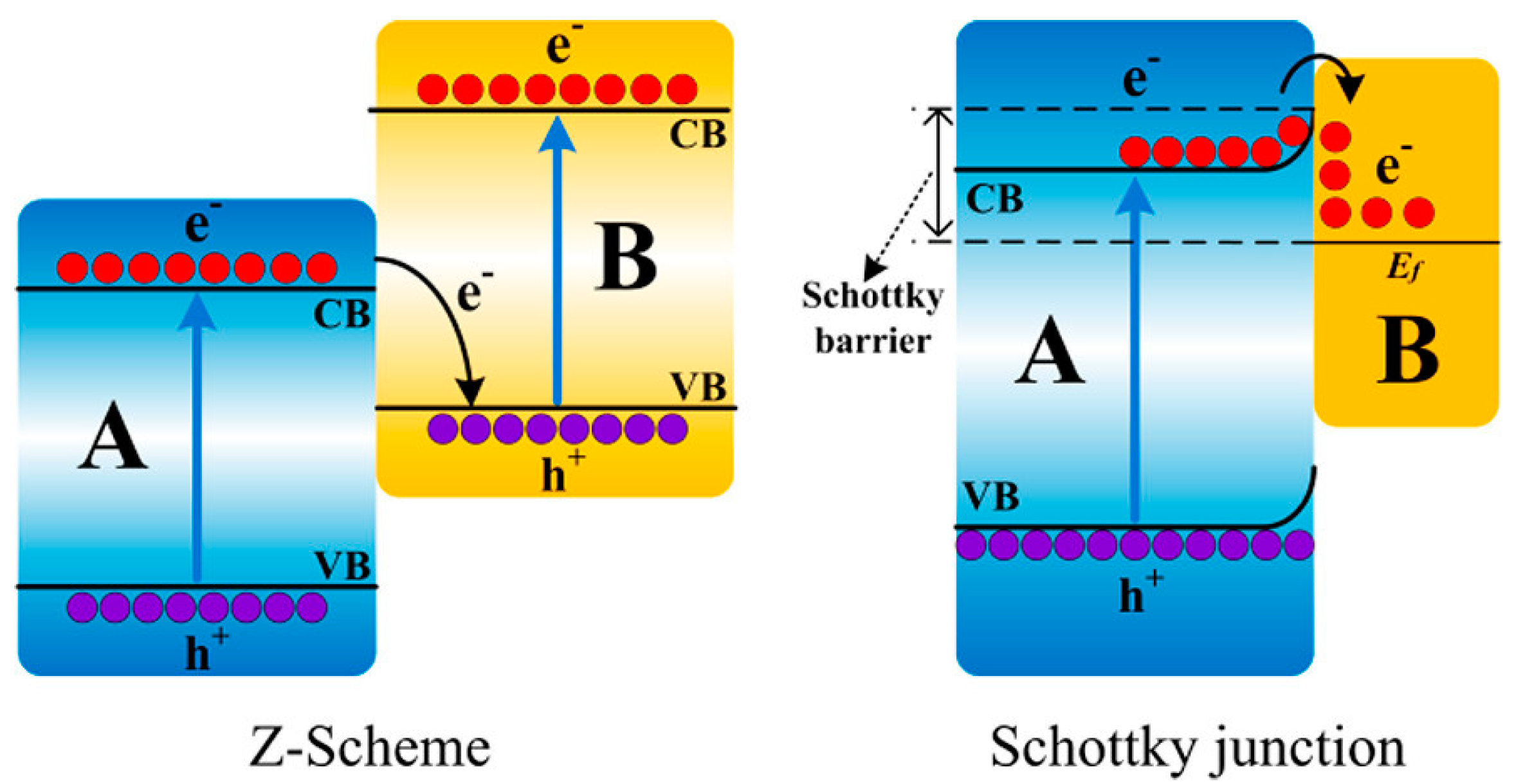 Catalysts 10 00089 g001