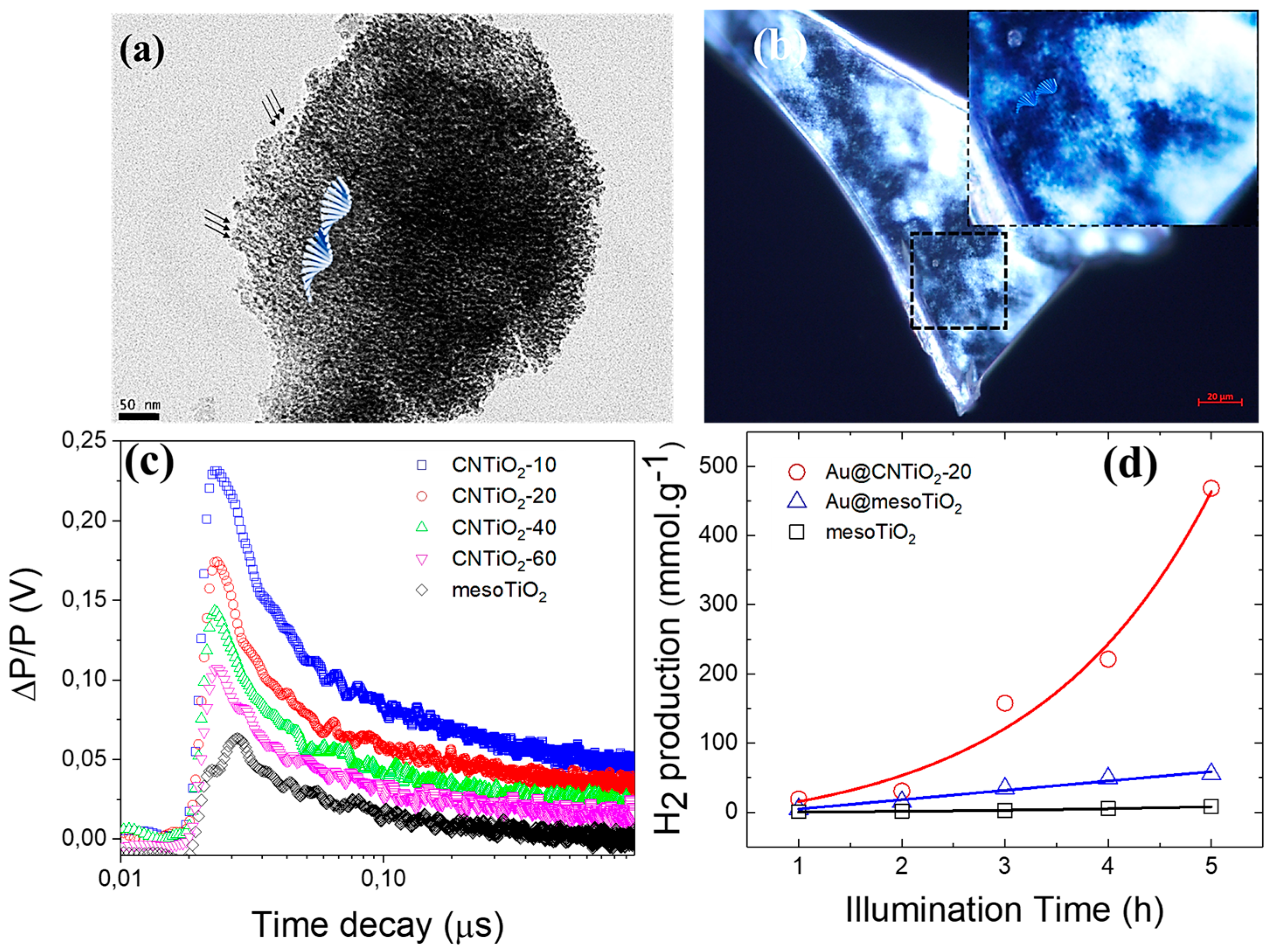 Catalysts 10 00089 g012