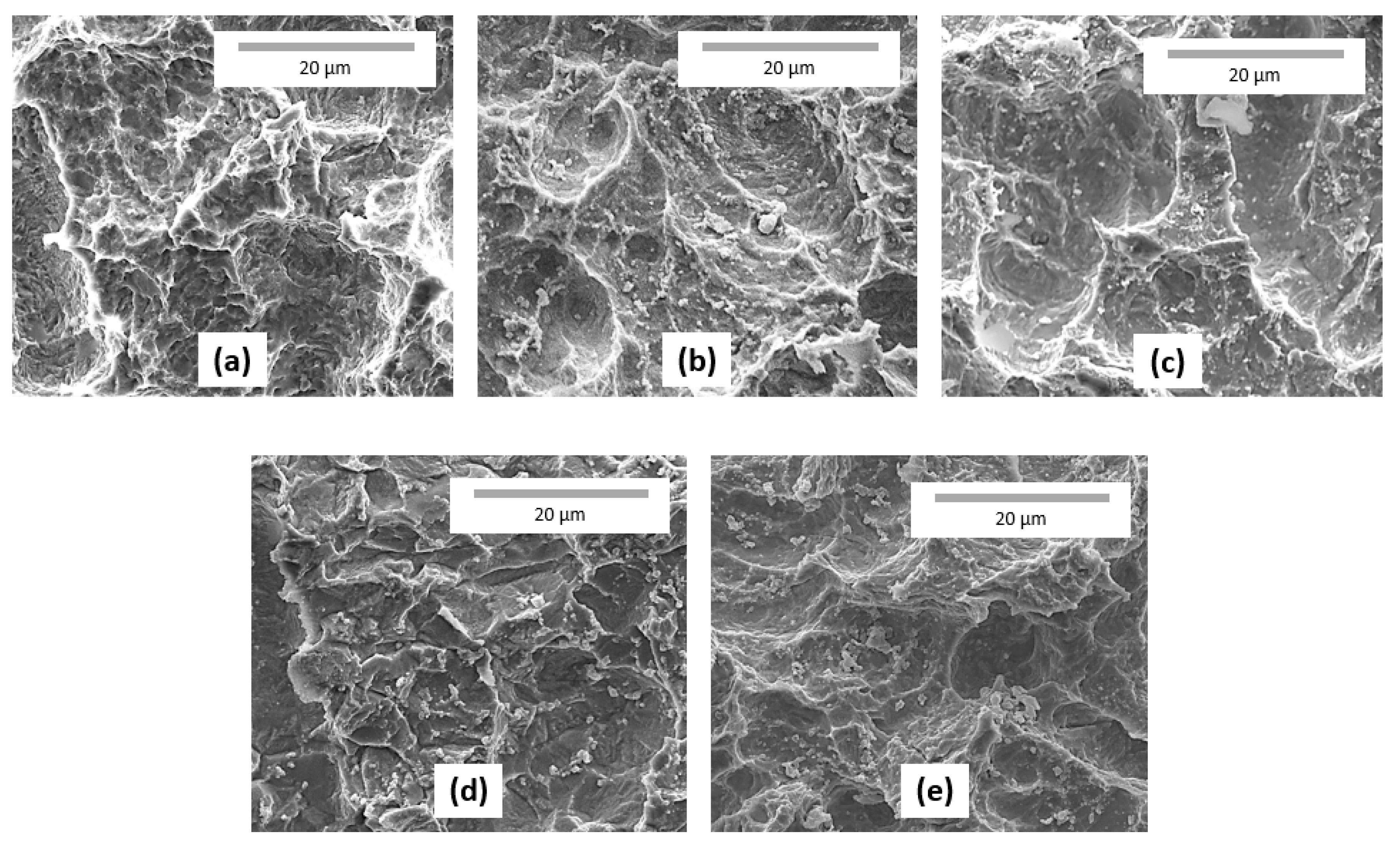 Catalysts 10 00092 g002