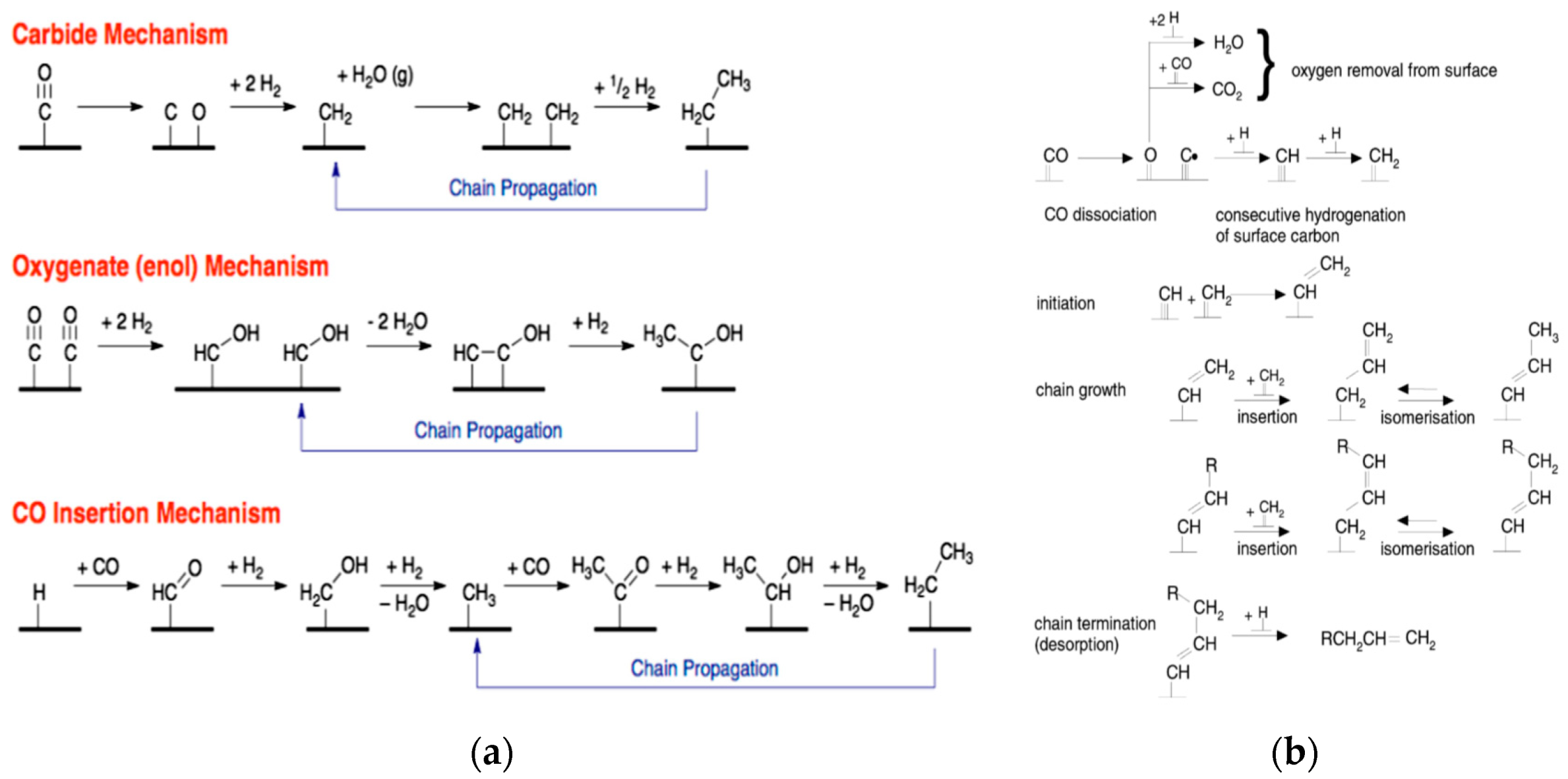 Catalysts 10 00099 g003
