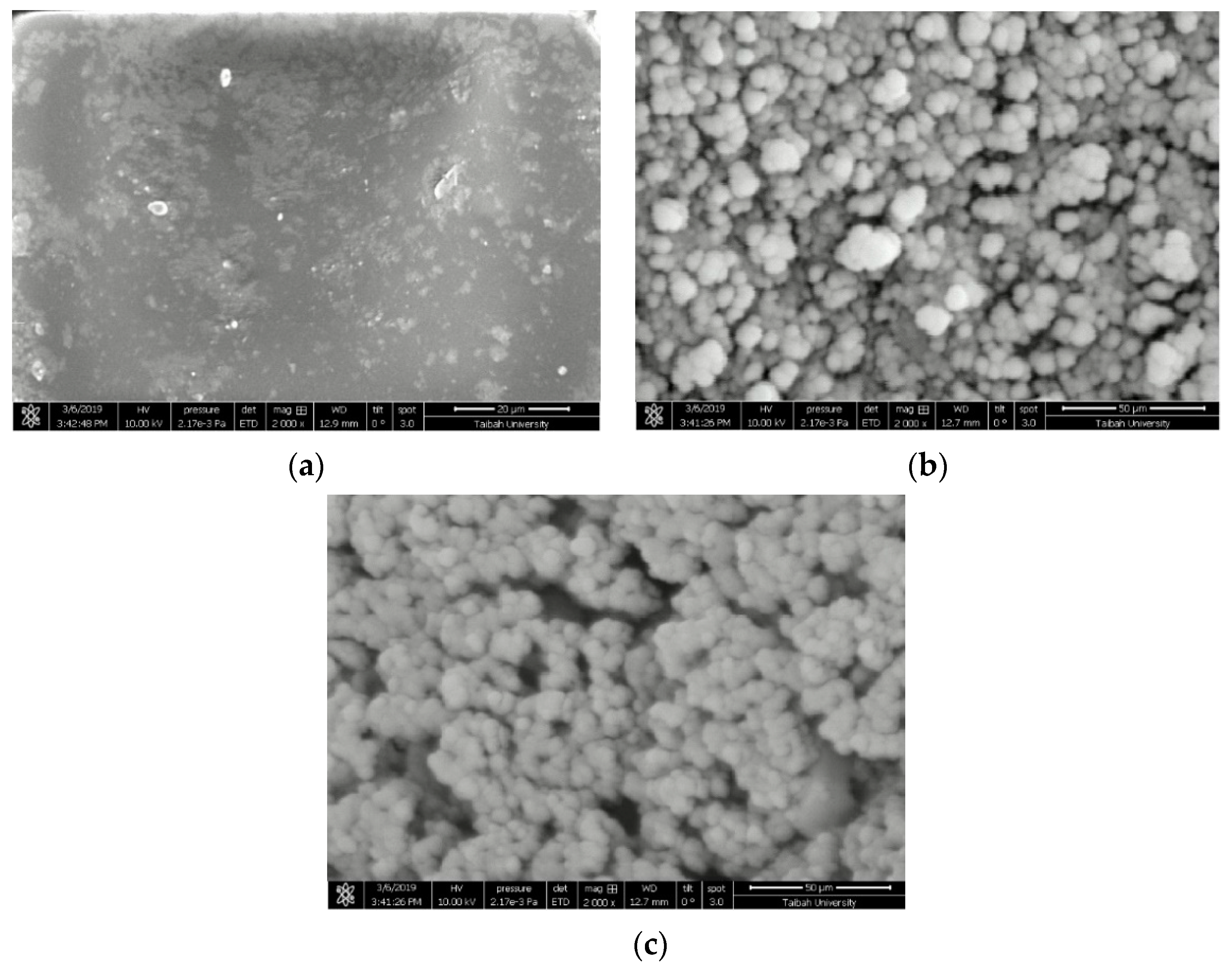 Catalysts 10 00100 g003