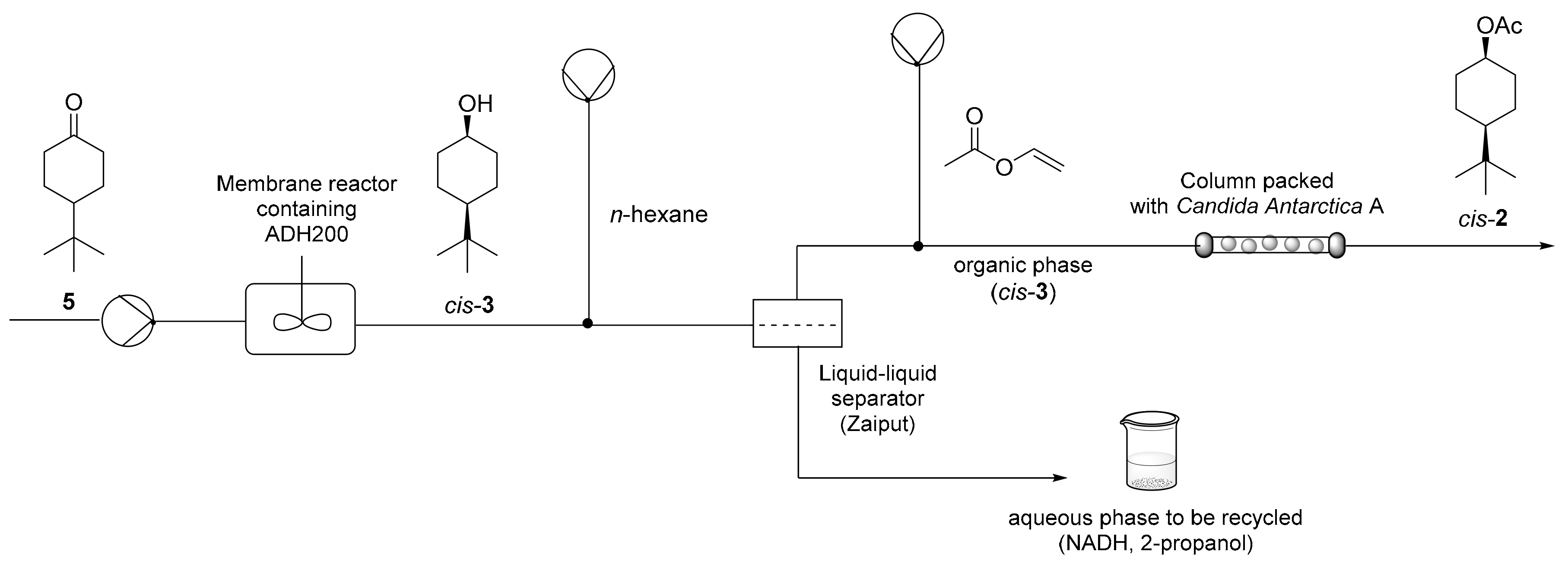 Catalysts 10 00102 g004