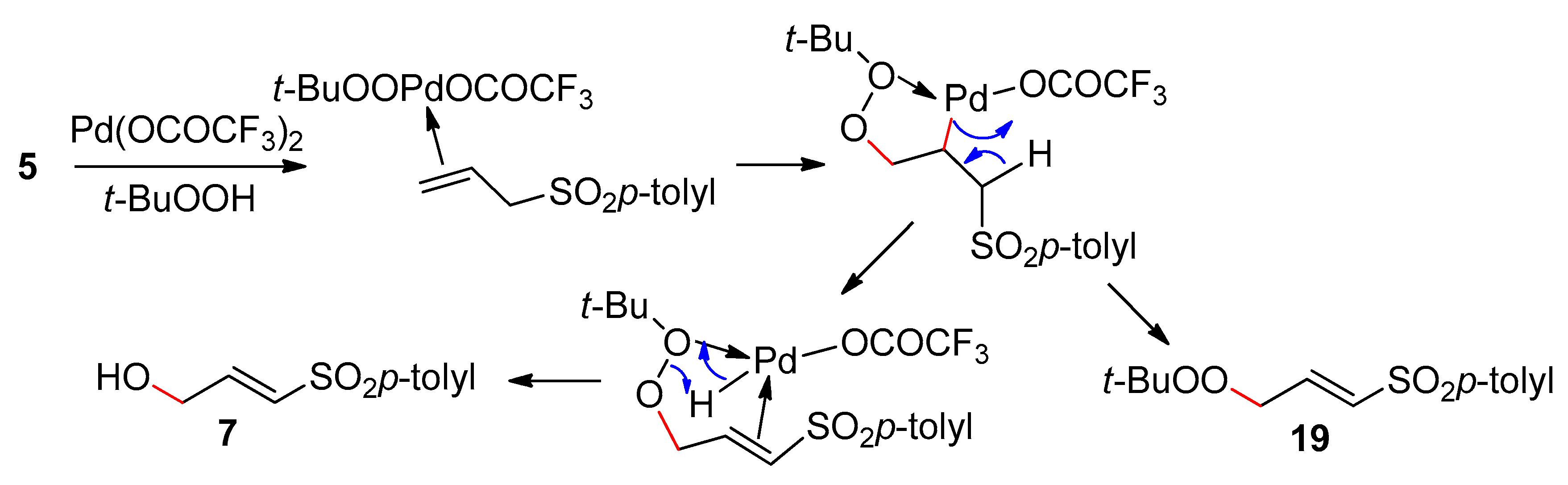 Catalysts 10 00111 sch004