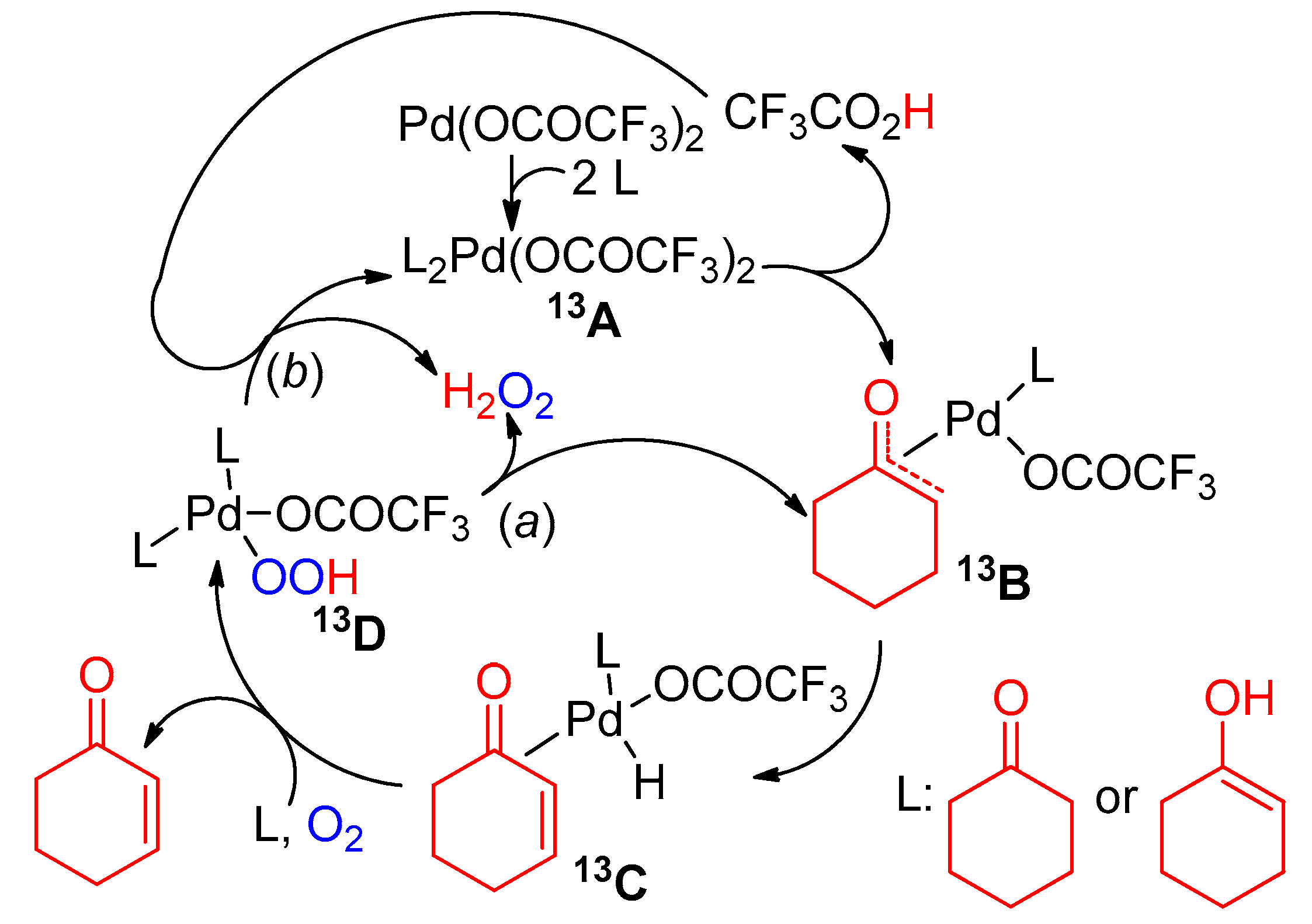 Catalysts 10 00111 sch013
