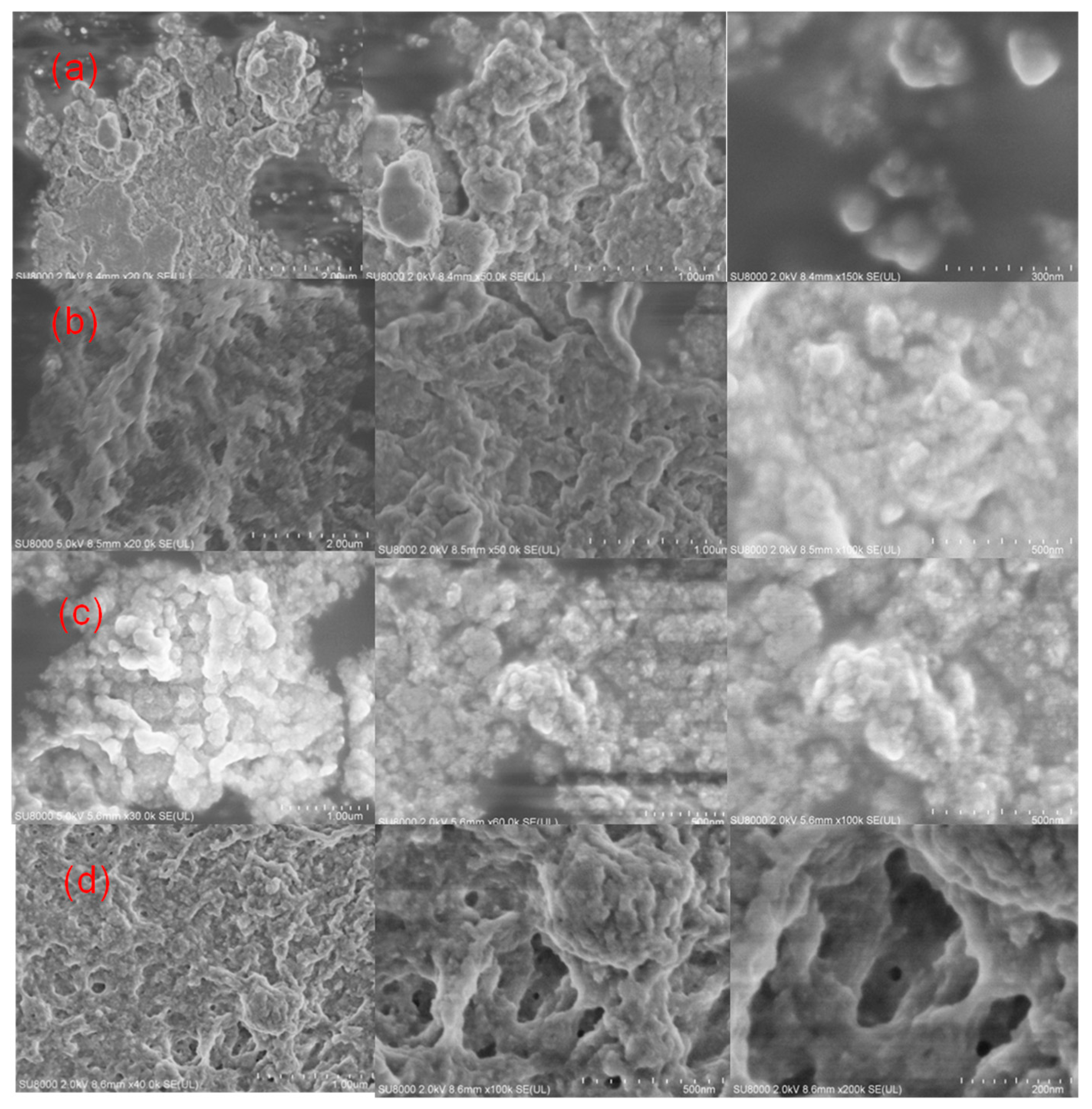 Catalysts 10 00127 g003 Catalysts 10 00127 g003
