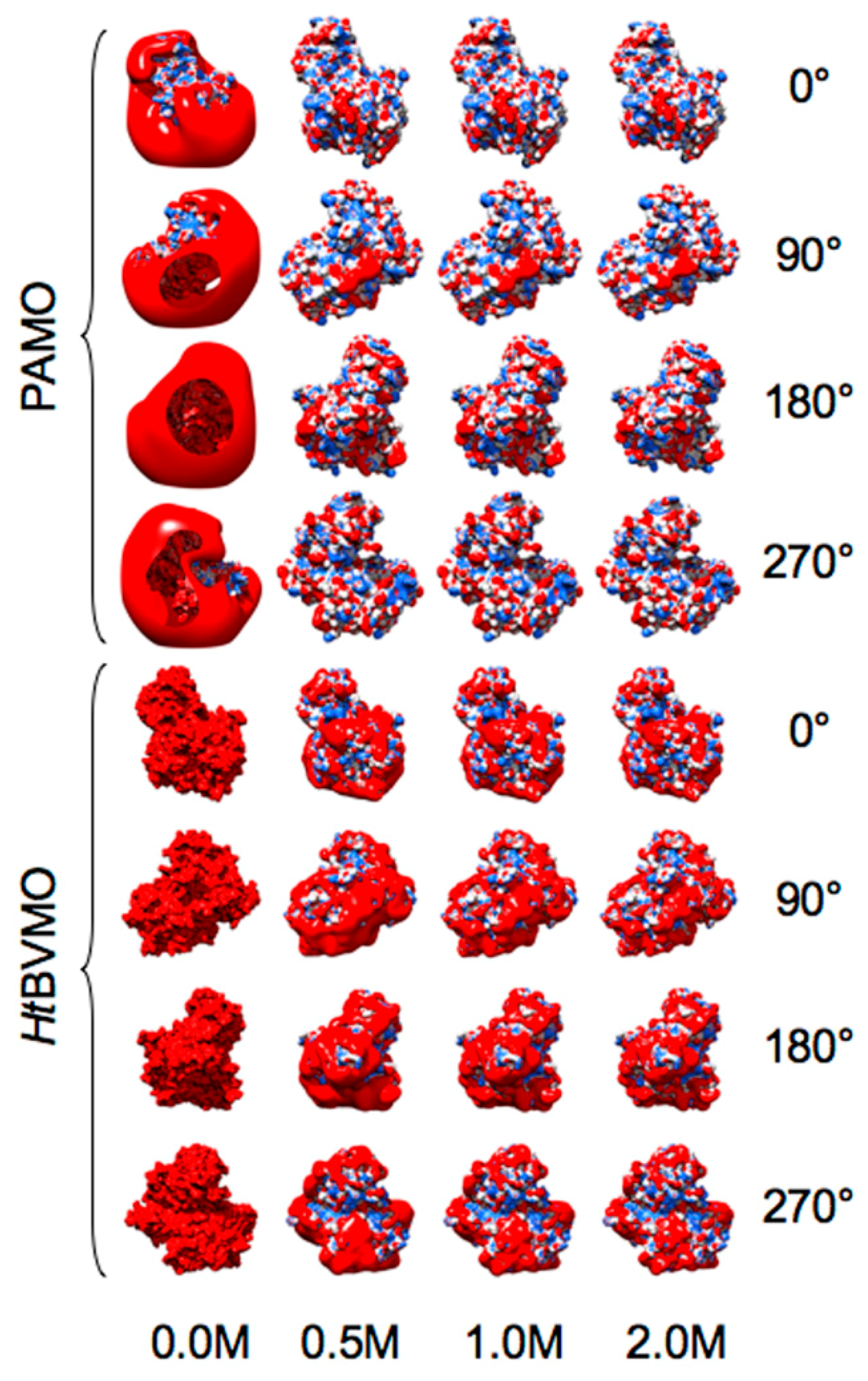 Catalysts 10 00128 g001