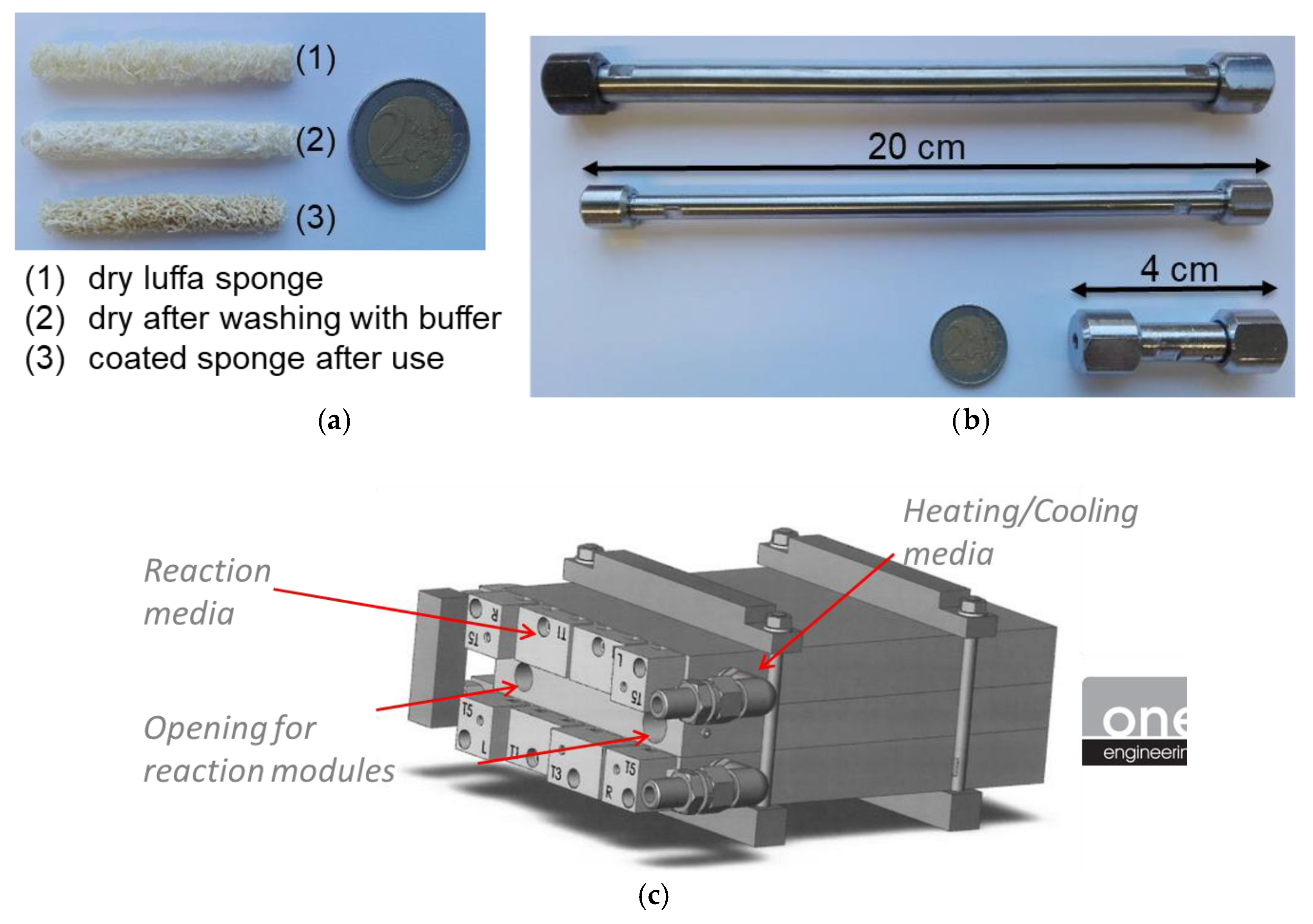 Catalysts 10 00137 g010 Catalysts 10 00137 g010