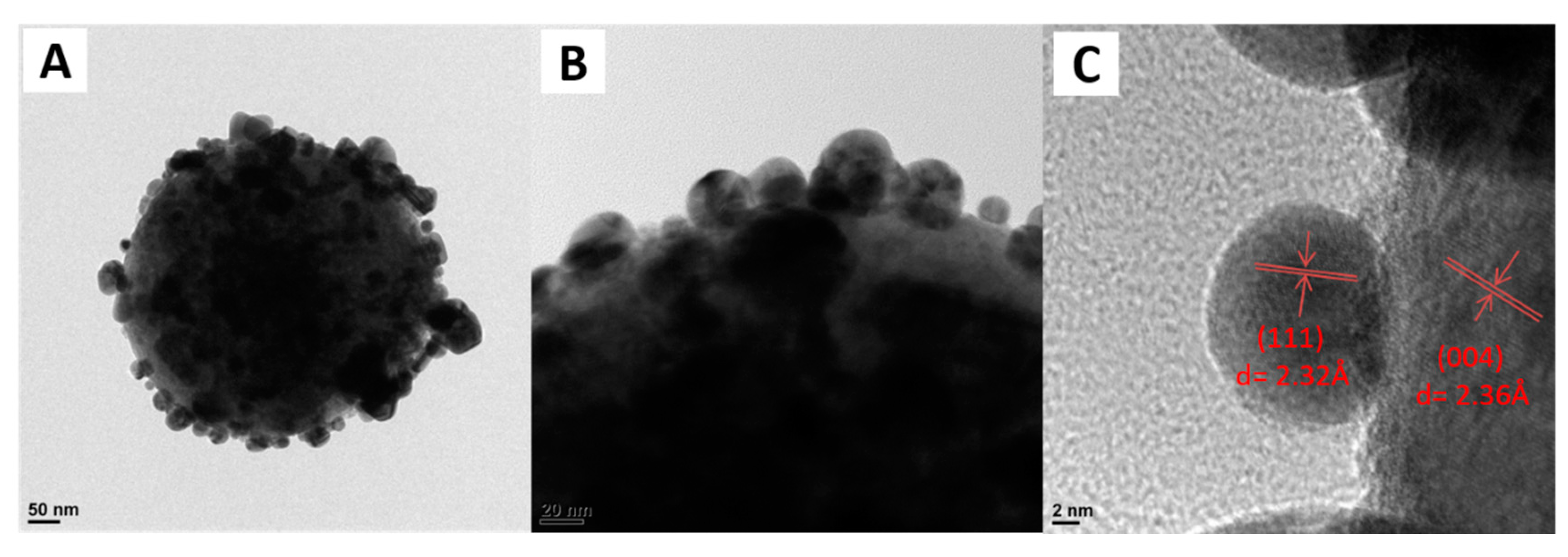 Catalysts 10 00139 g002