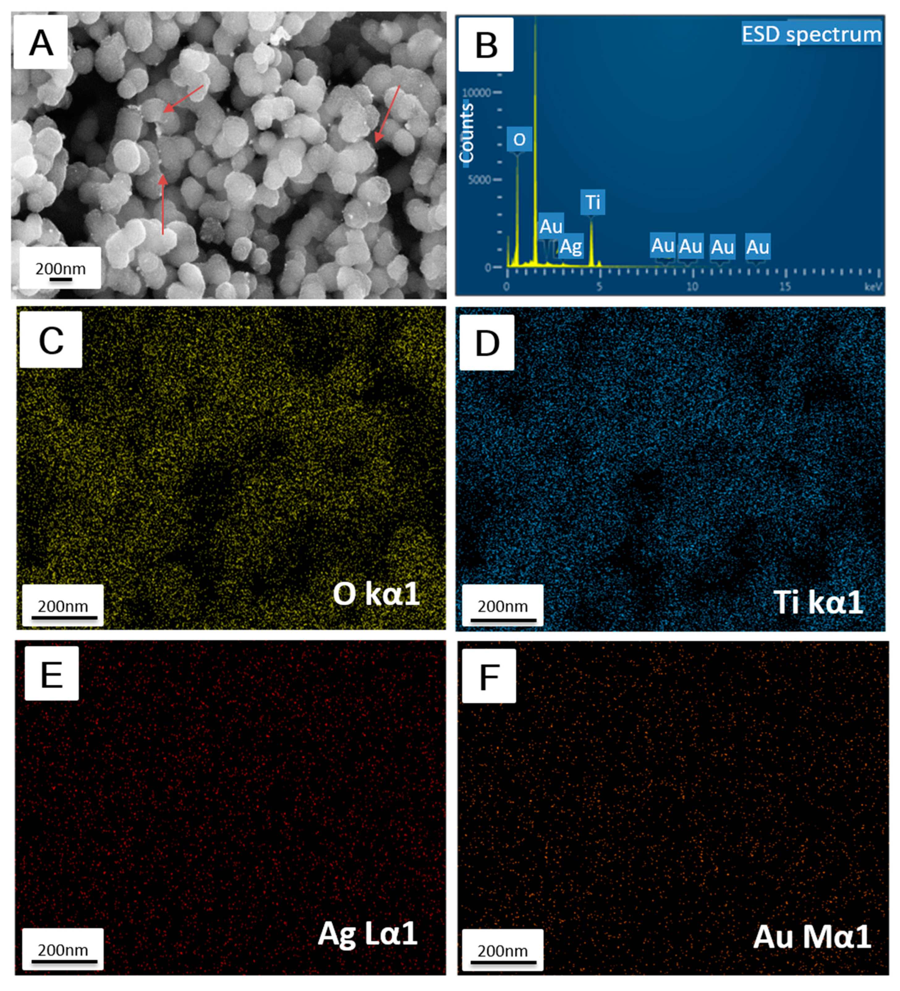 Catalysts 10 00139 g003