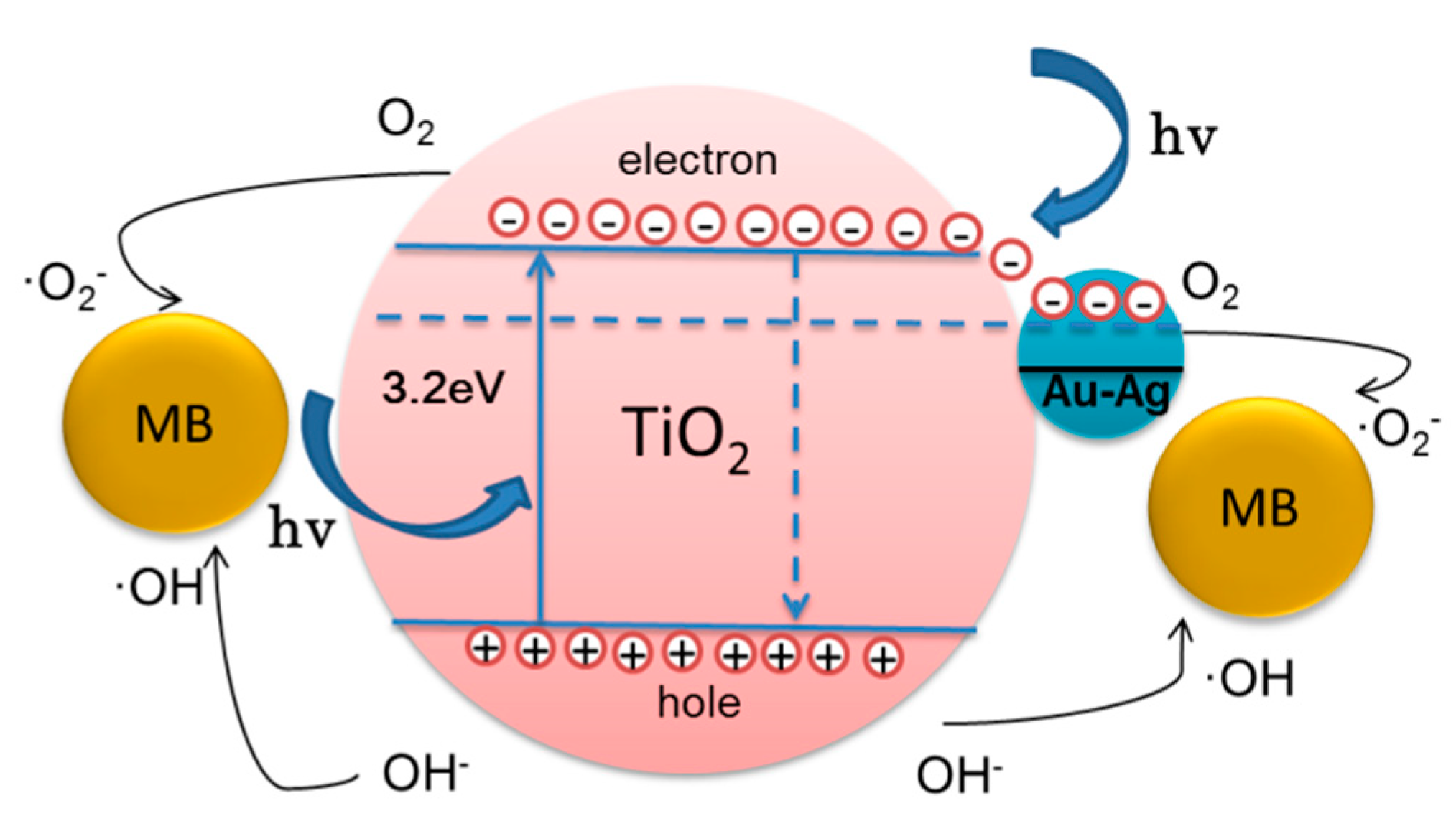 Catalysts 10 00139 g008