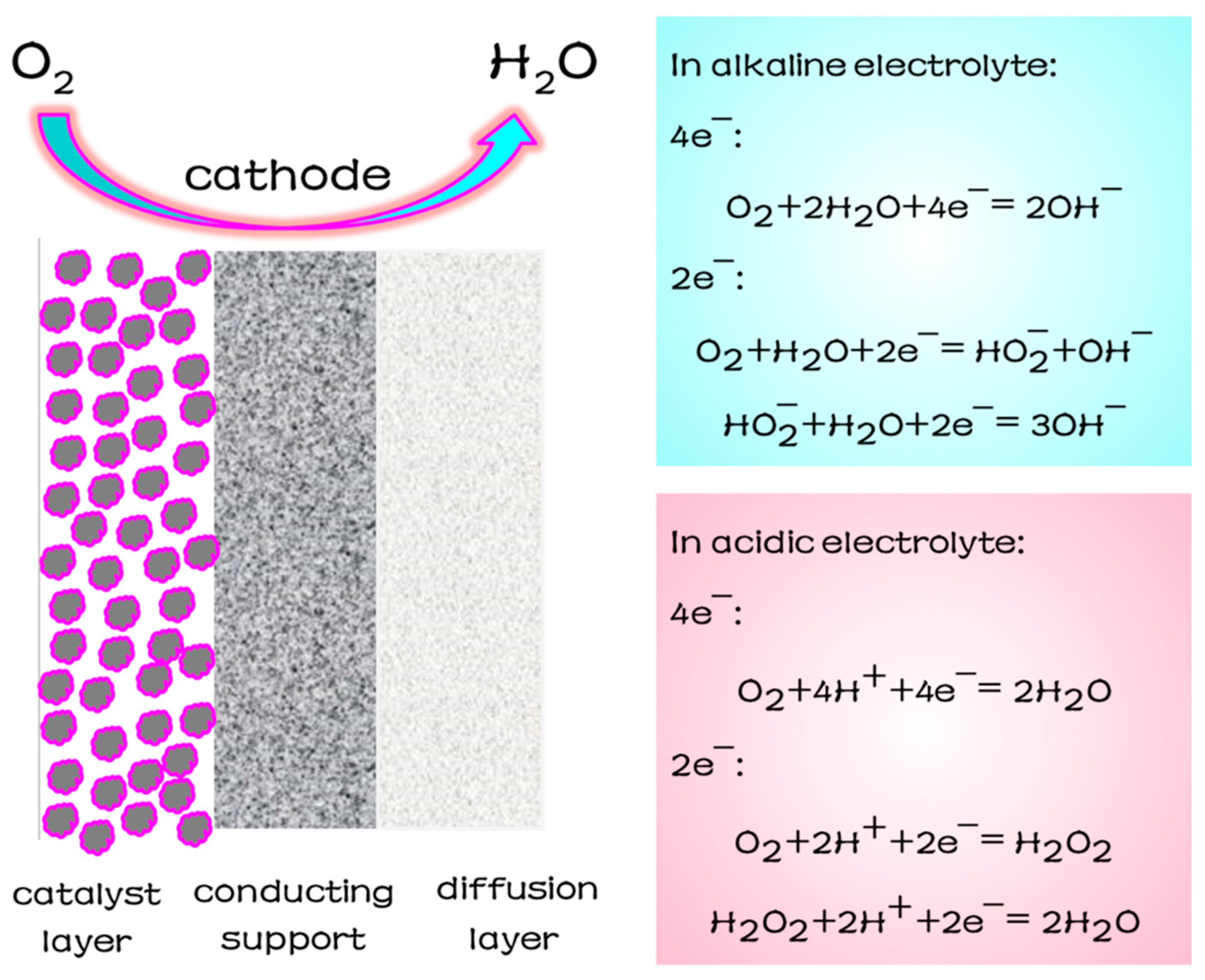 Catalysts 10 00141 g002