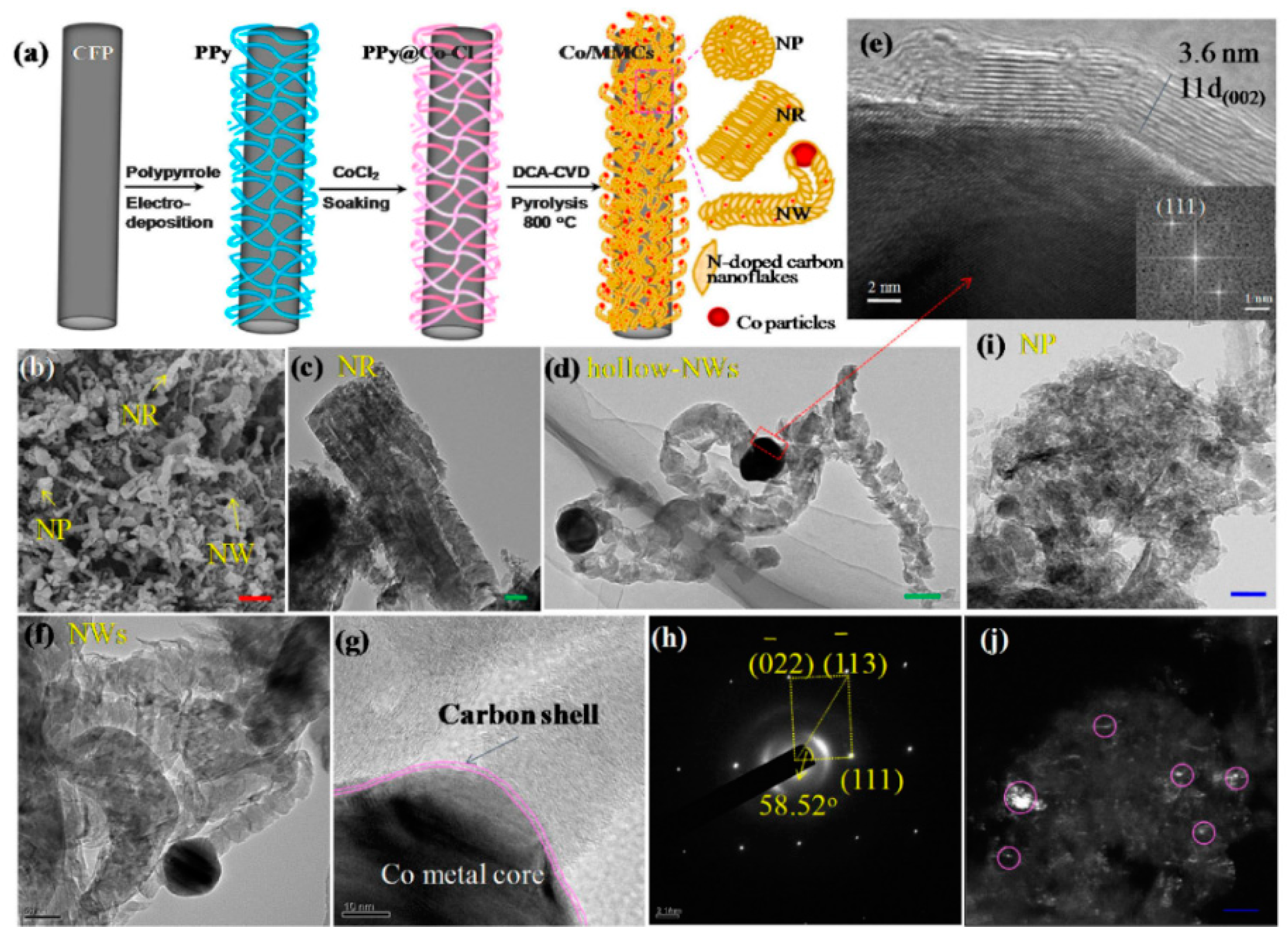 Catalysts 10 00141 g007