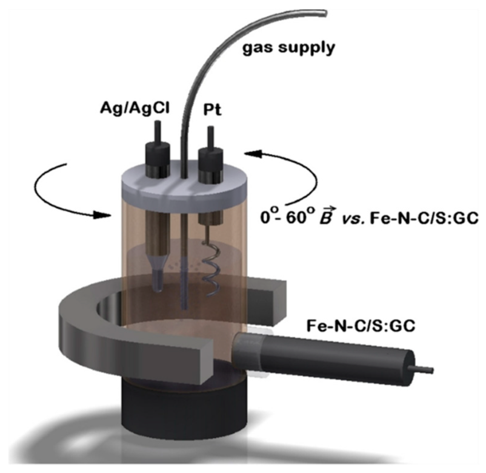 Catalysts 10 00141 g015