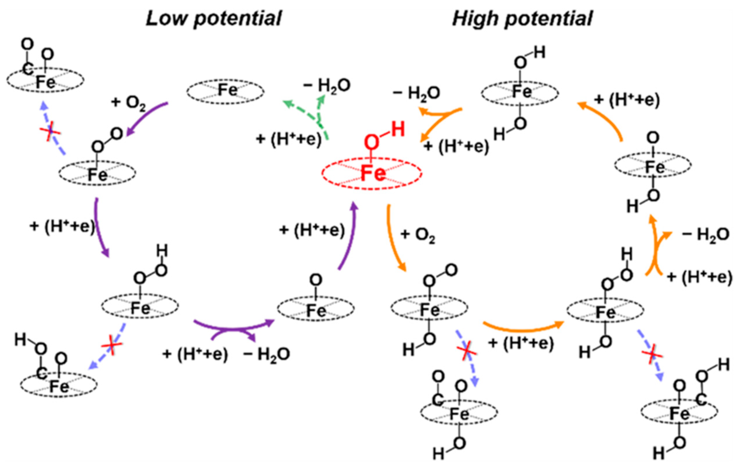 Catalysts 10 00141 g018