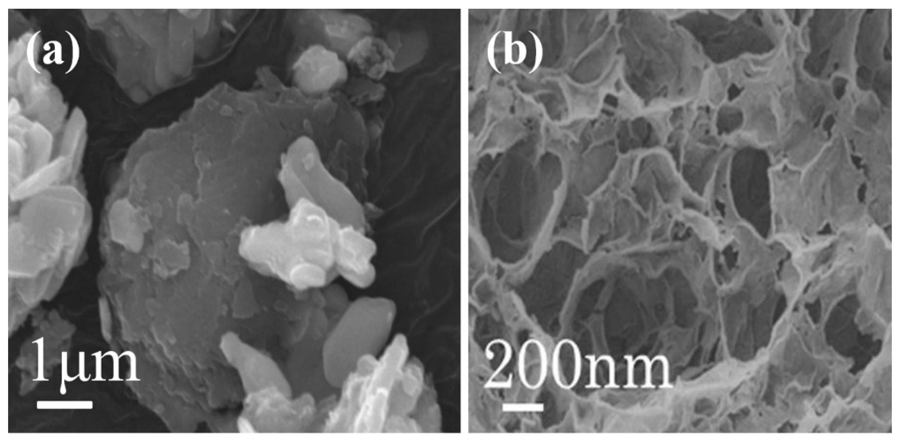 Catalysts 10 00142 g009 Catalysts 10 00142 g009
