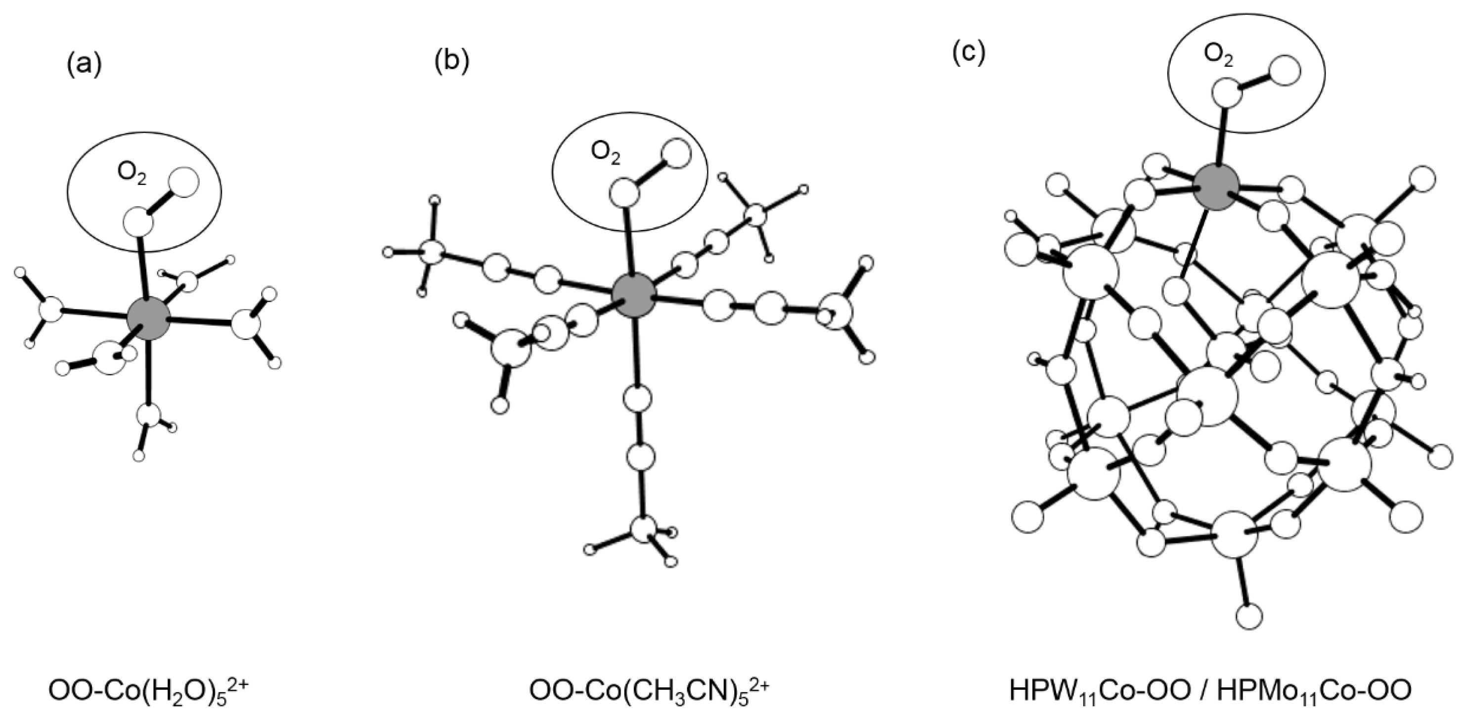 Catalysts 10 00144 g001