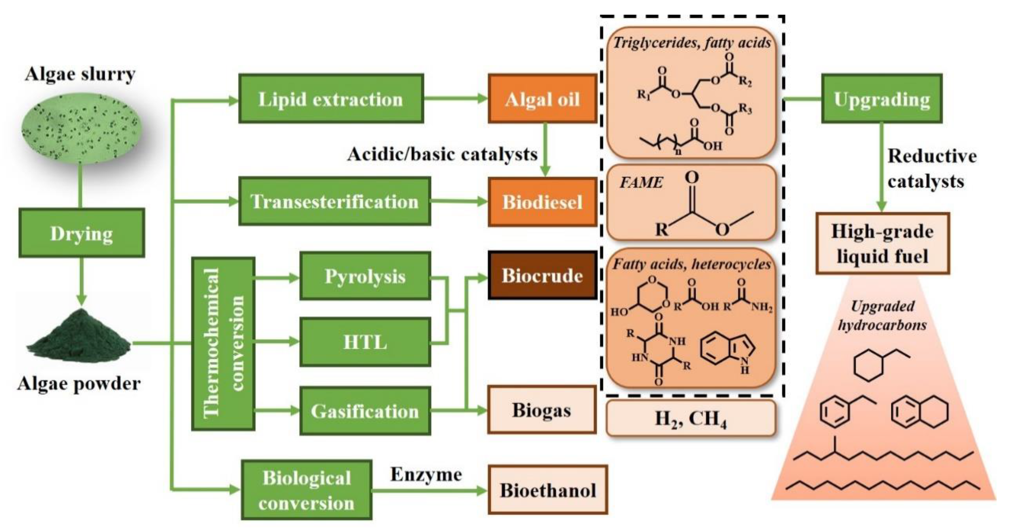 Catalysts 10 00145 g001