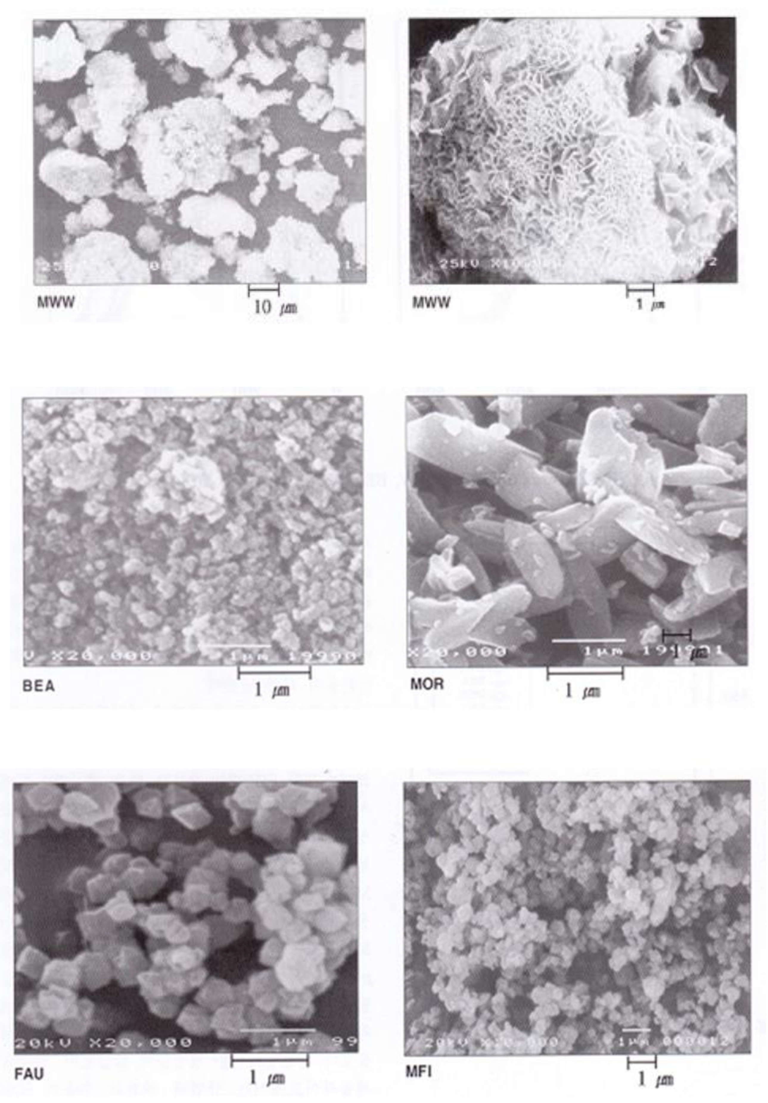 Catalysts 10 00148 g002