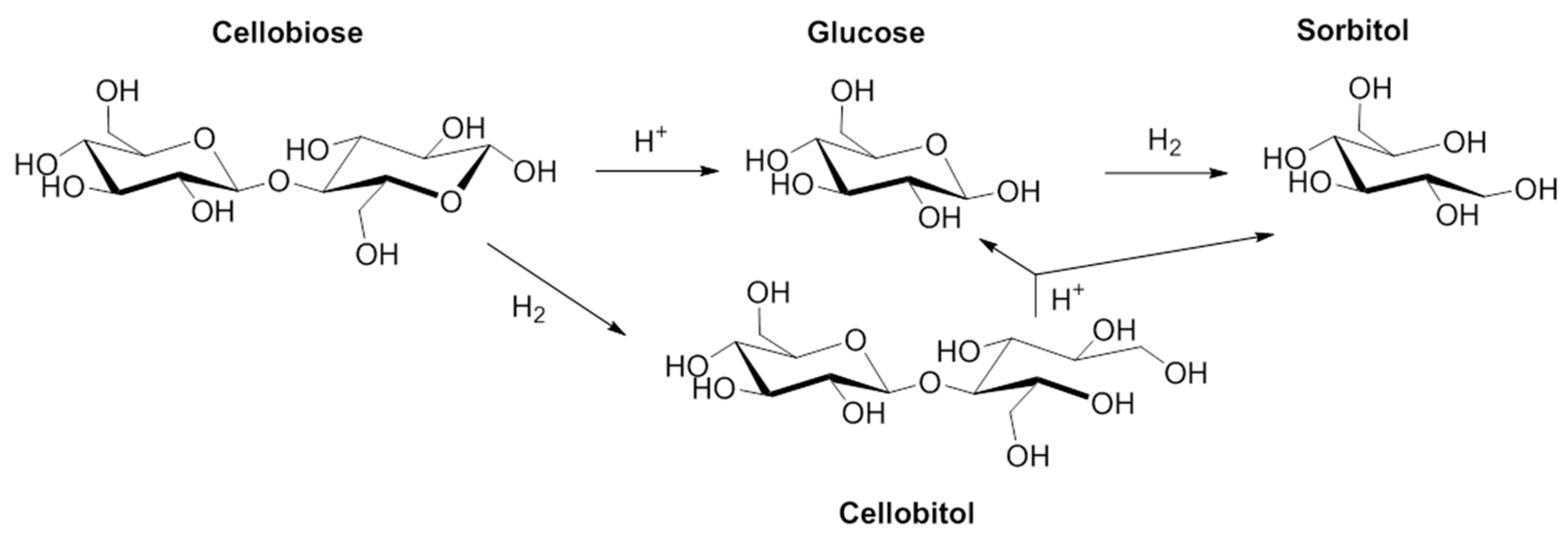 Catalysts 10 00149 g004