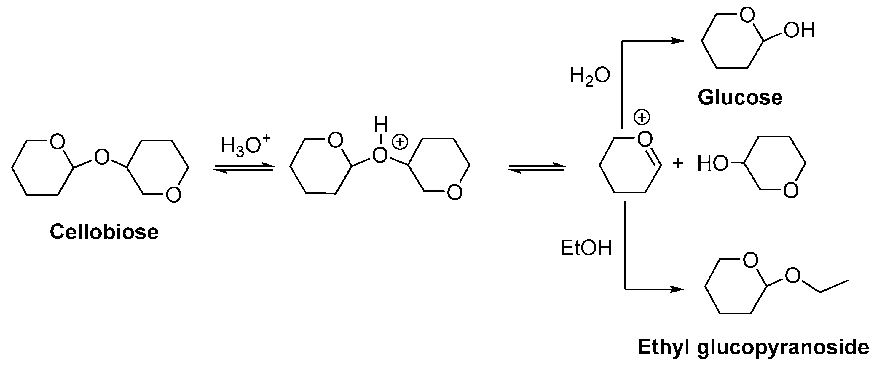 Catalysts 10 00149 g005