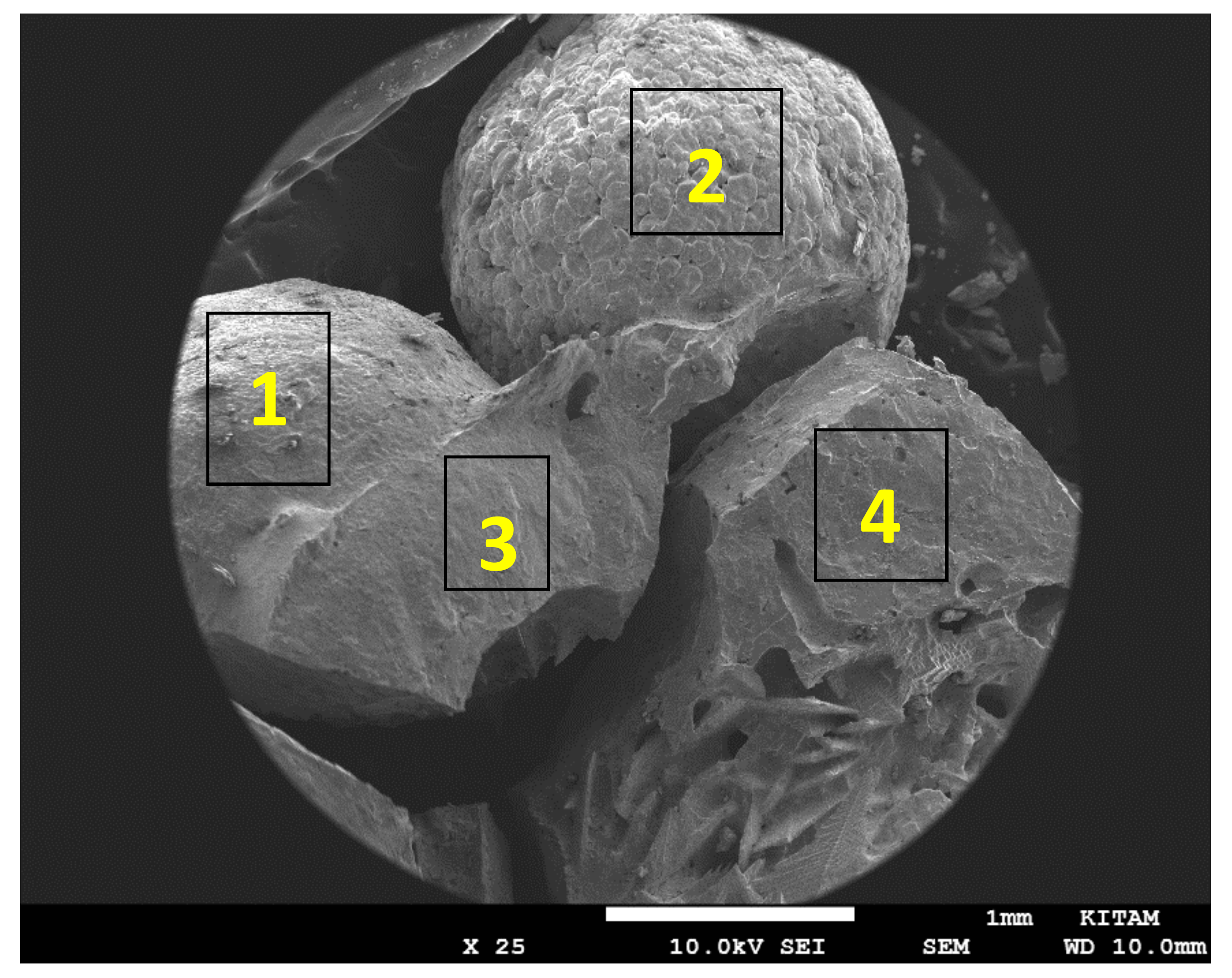 Catalysts 10 00152 g008