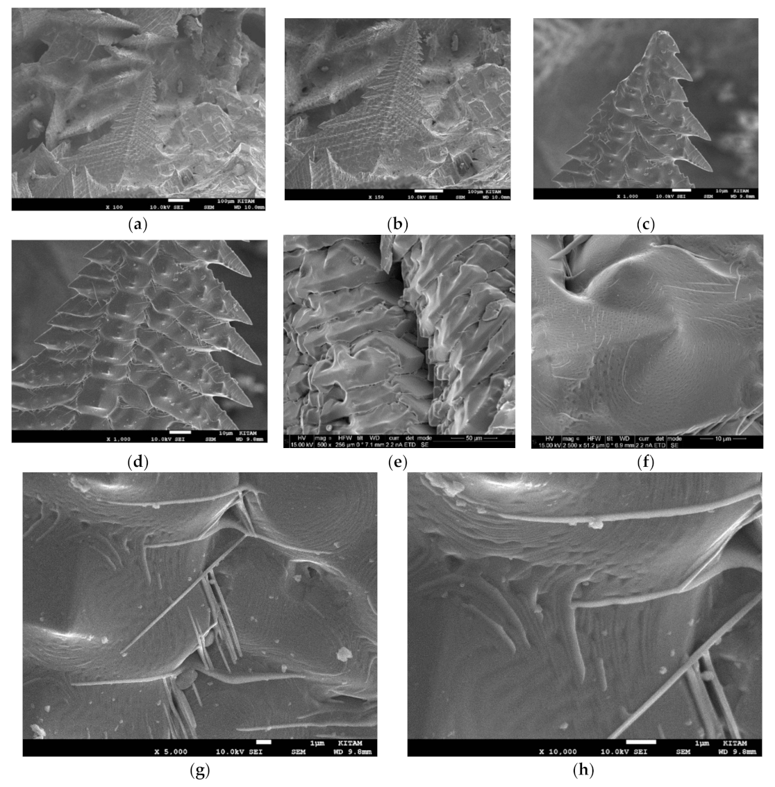 Catalysts 10 00152 g016