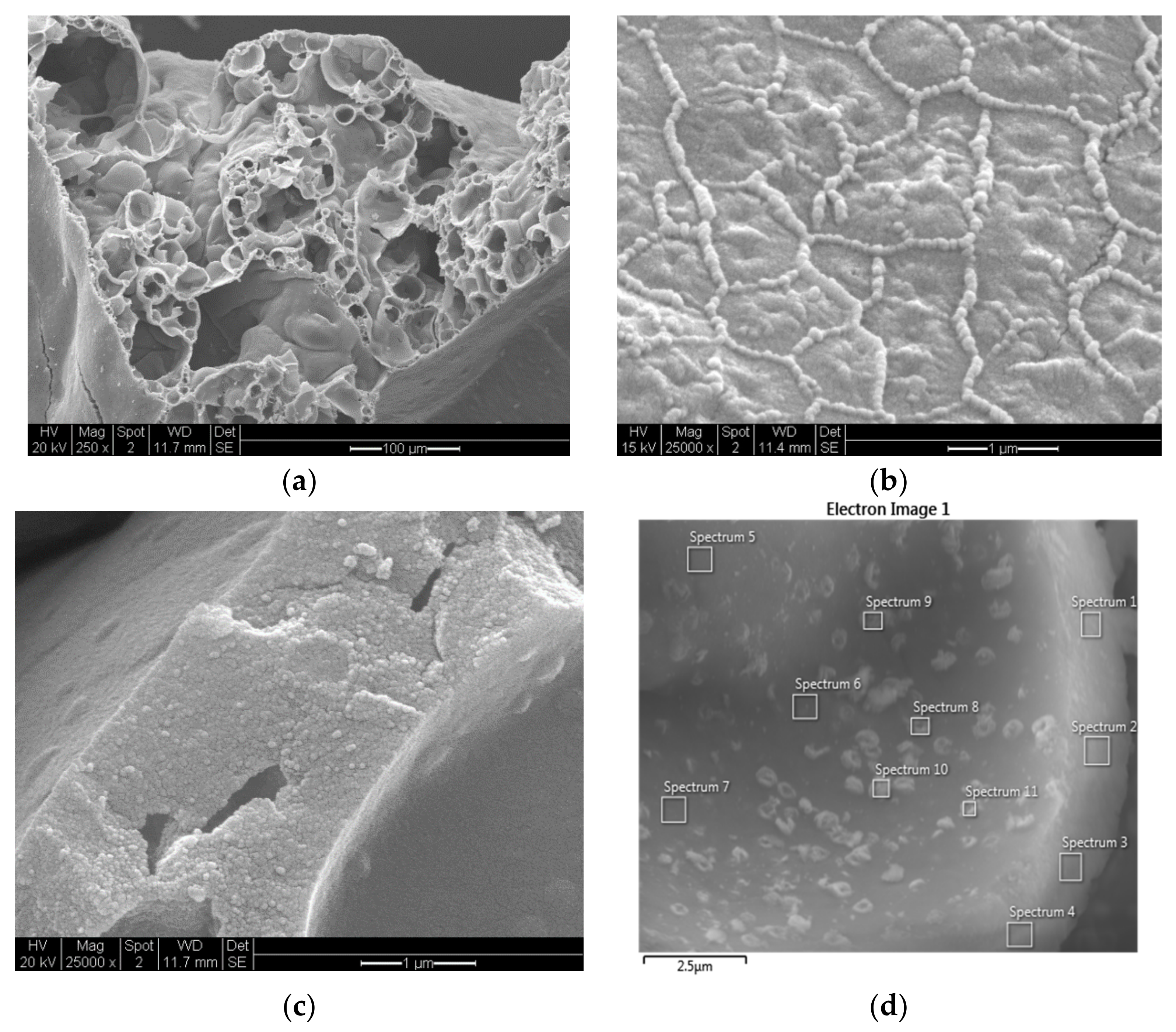 Catalysts 10 00152 g017