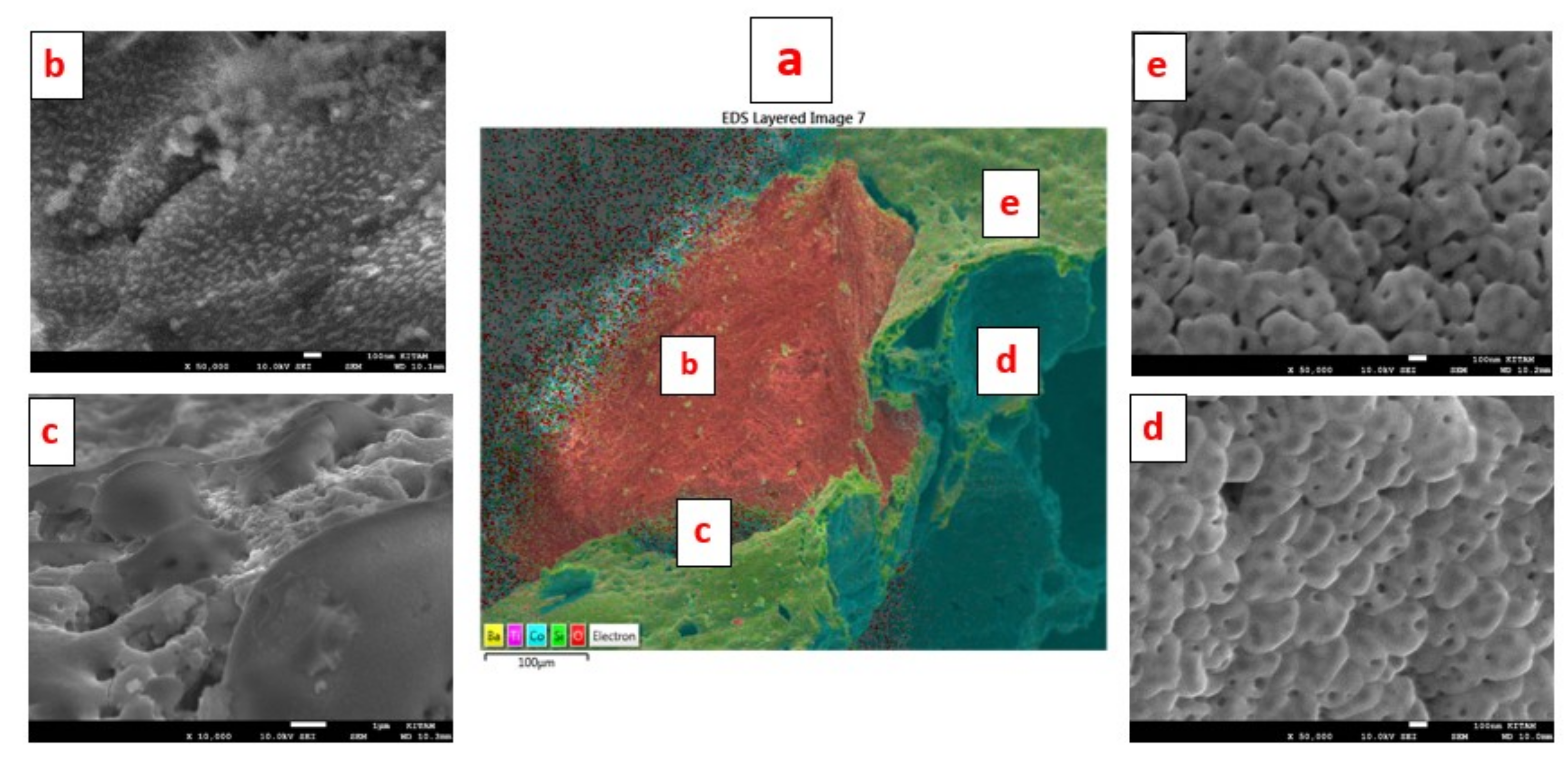 Catalysts 10 00152 g031