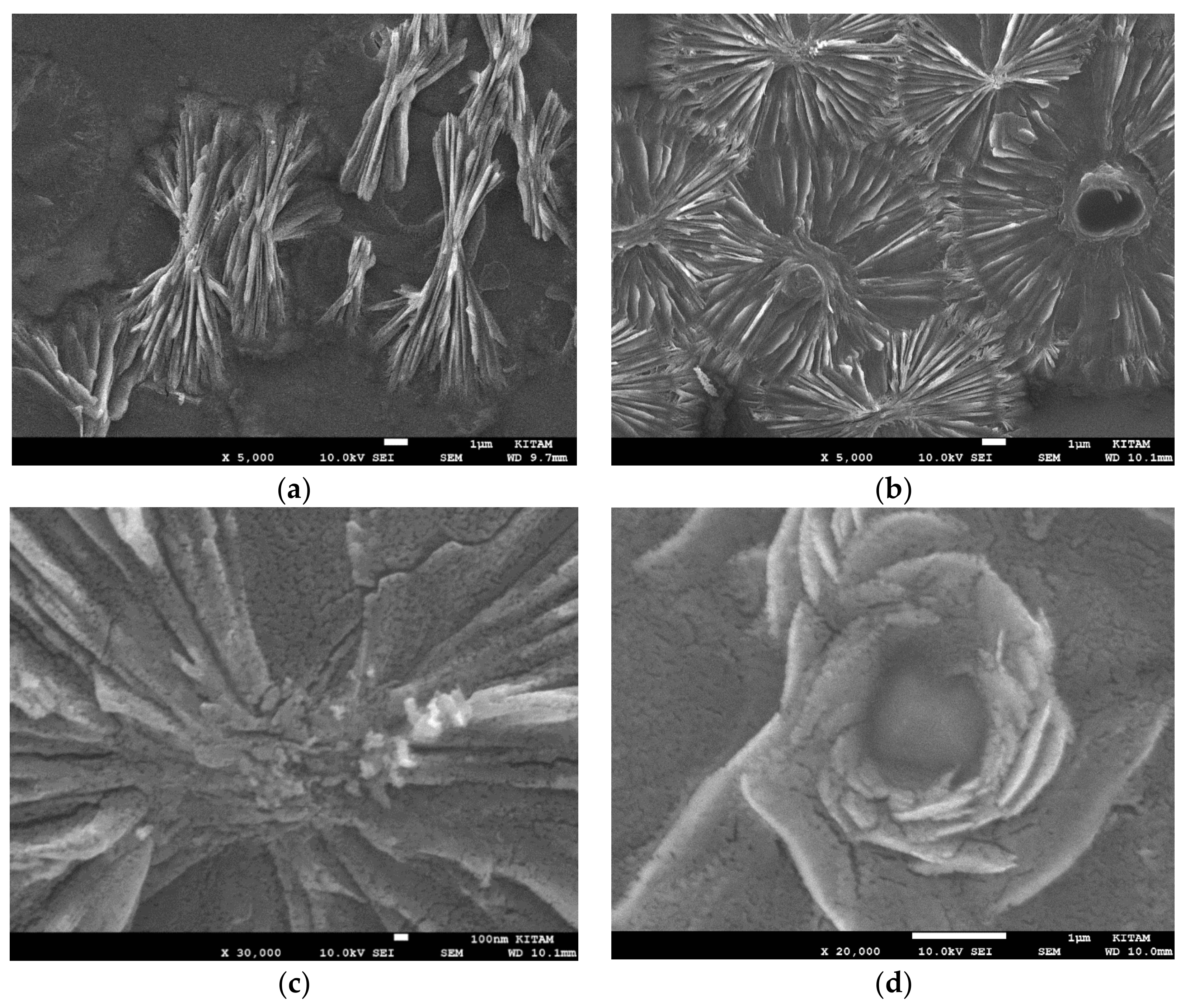 Catalysts 10 00152 g033