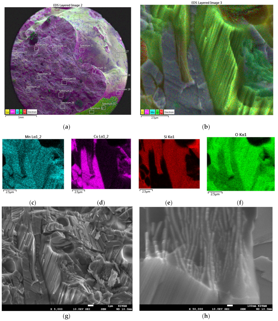 Catalysts 10 00152 g034