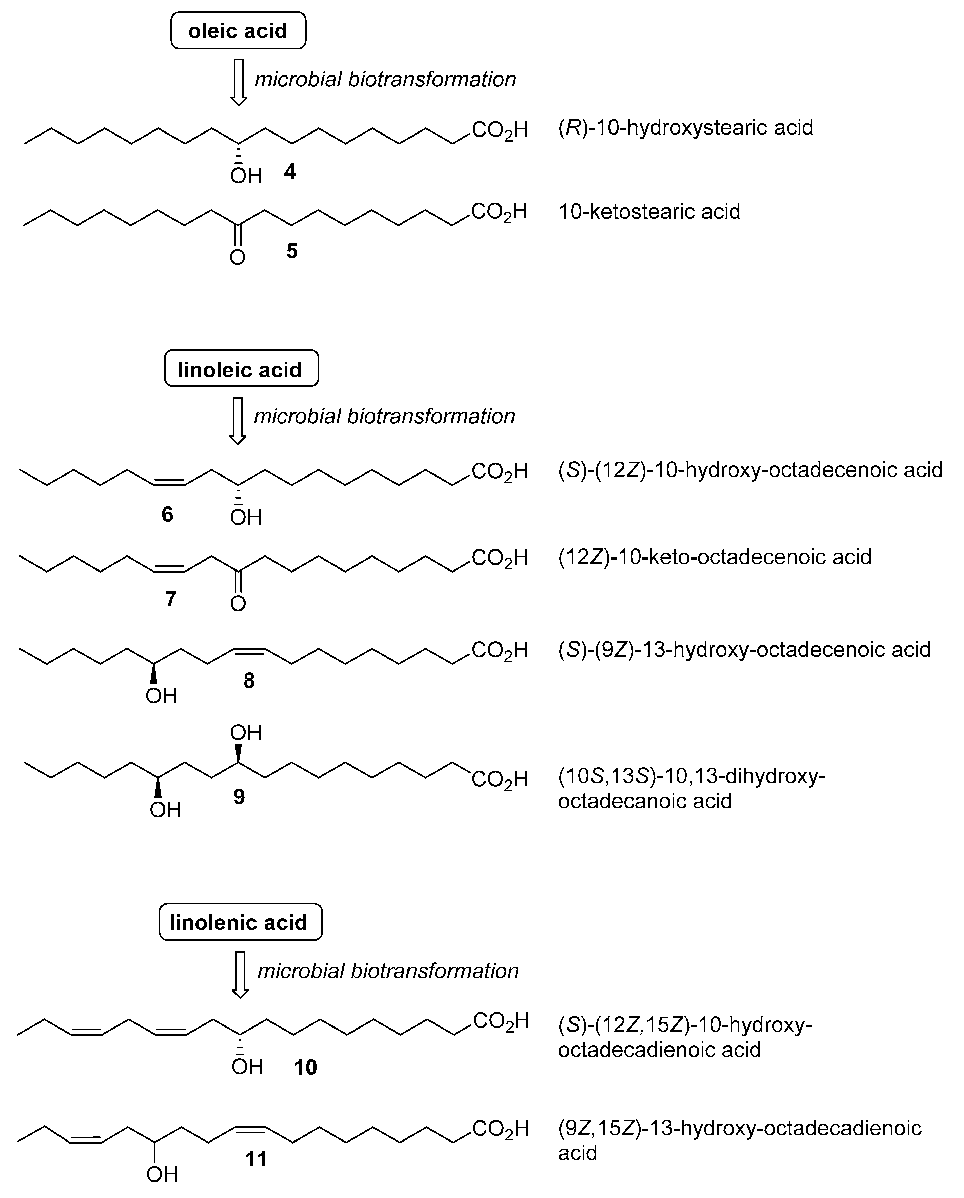 Catalysts 10 00154 g002