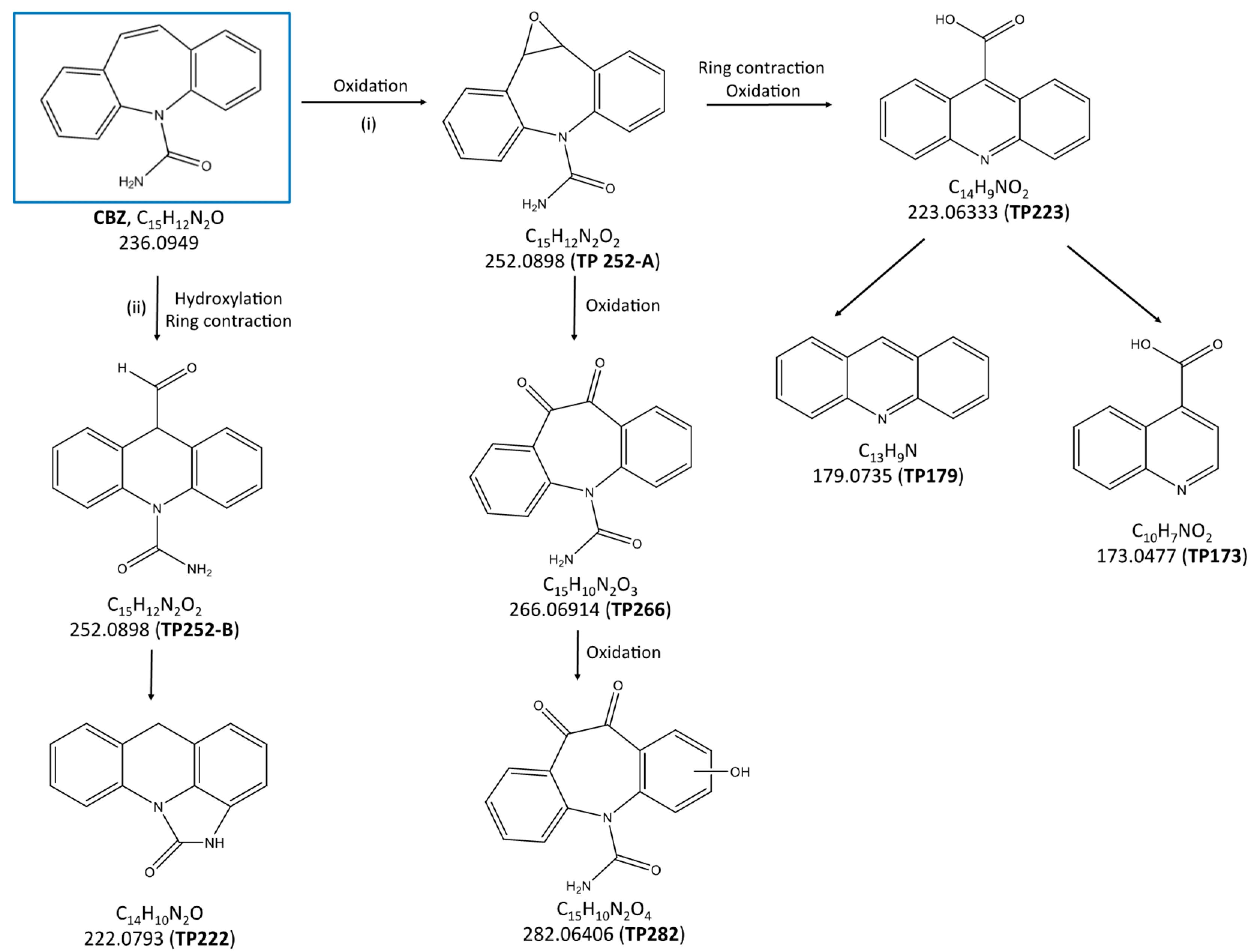 Catalysts 10 00169 g005 Catalysts 10 00169 g005