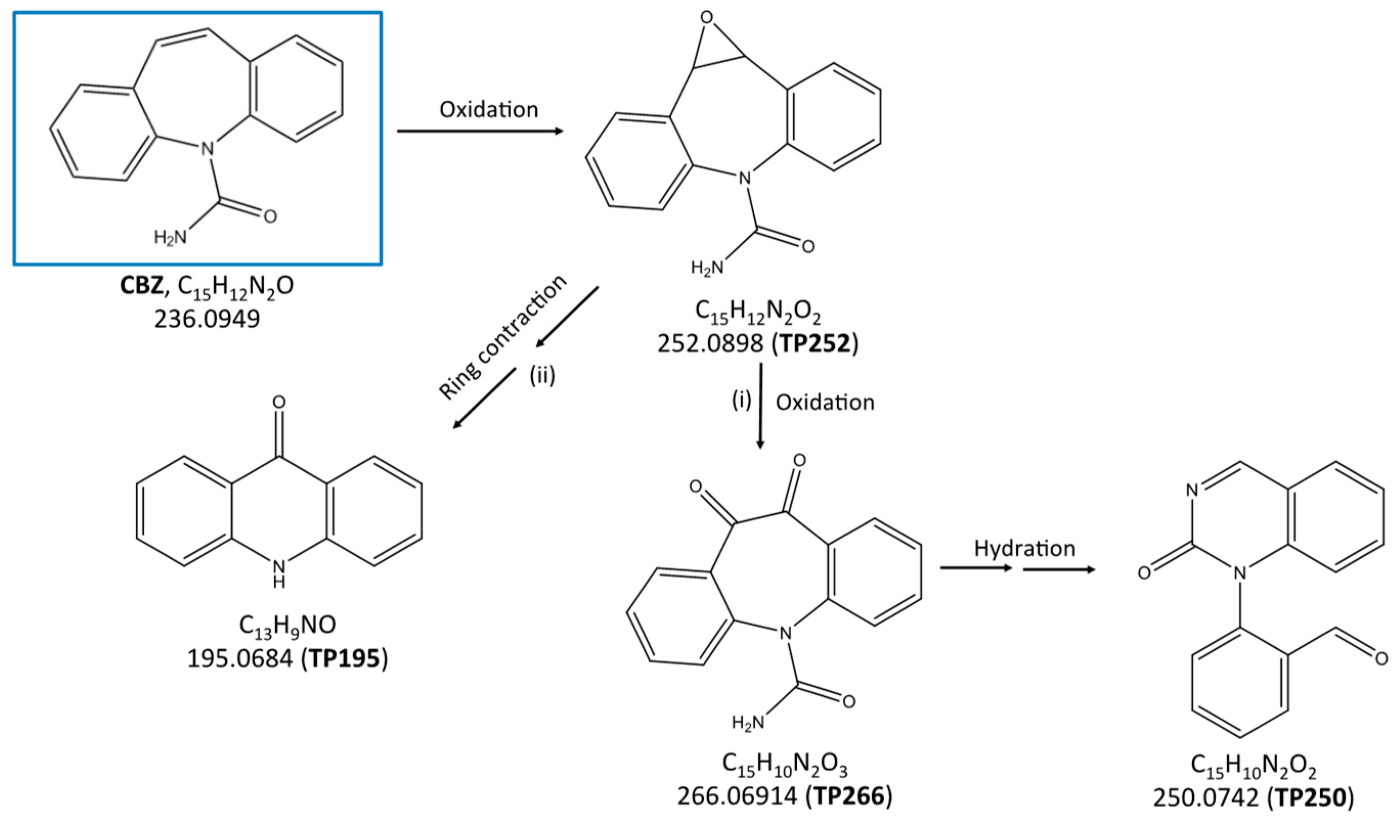 Catalysts 10 00169 g007 Catalysts 10 00169 g007