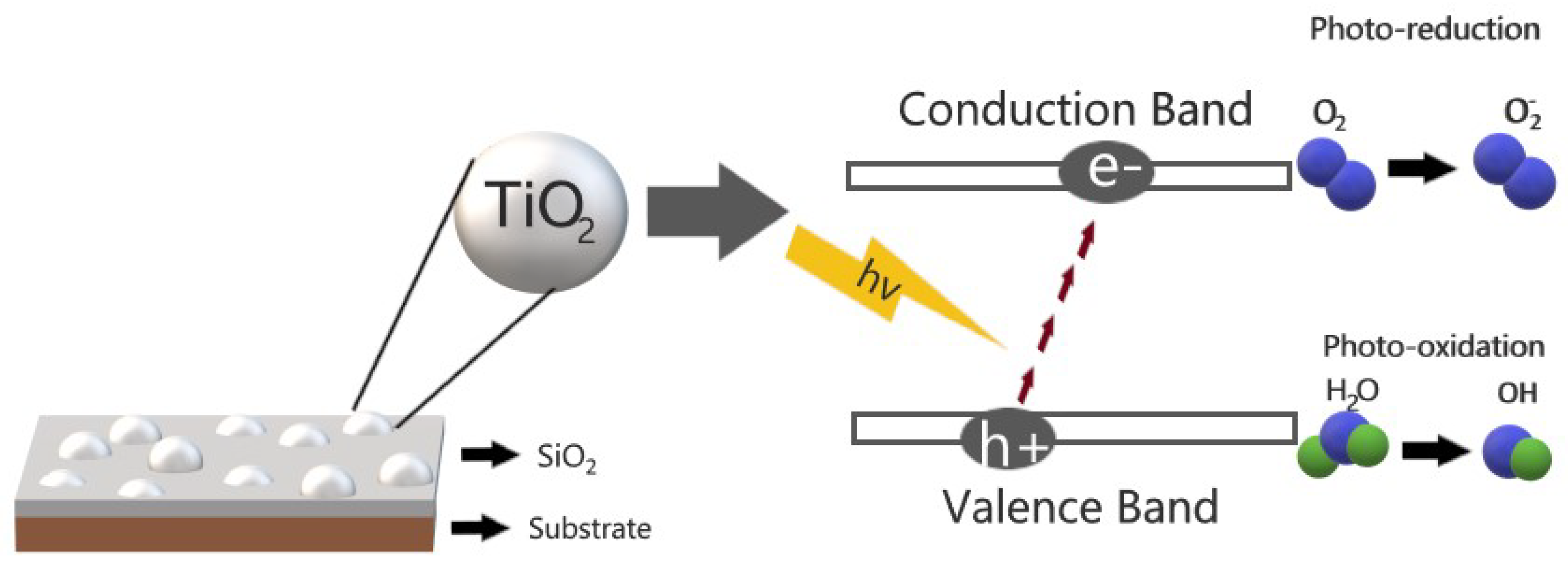 Catalysts 10 00171 g002 Catalysts 10 00171 g002