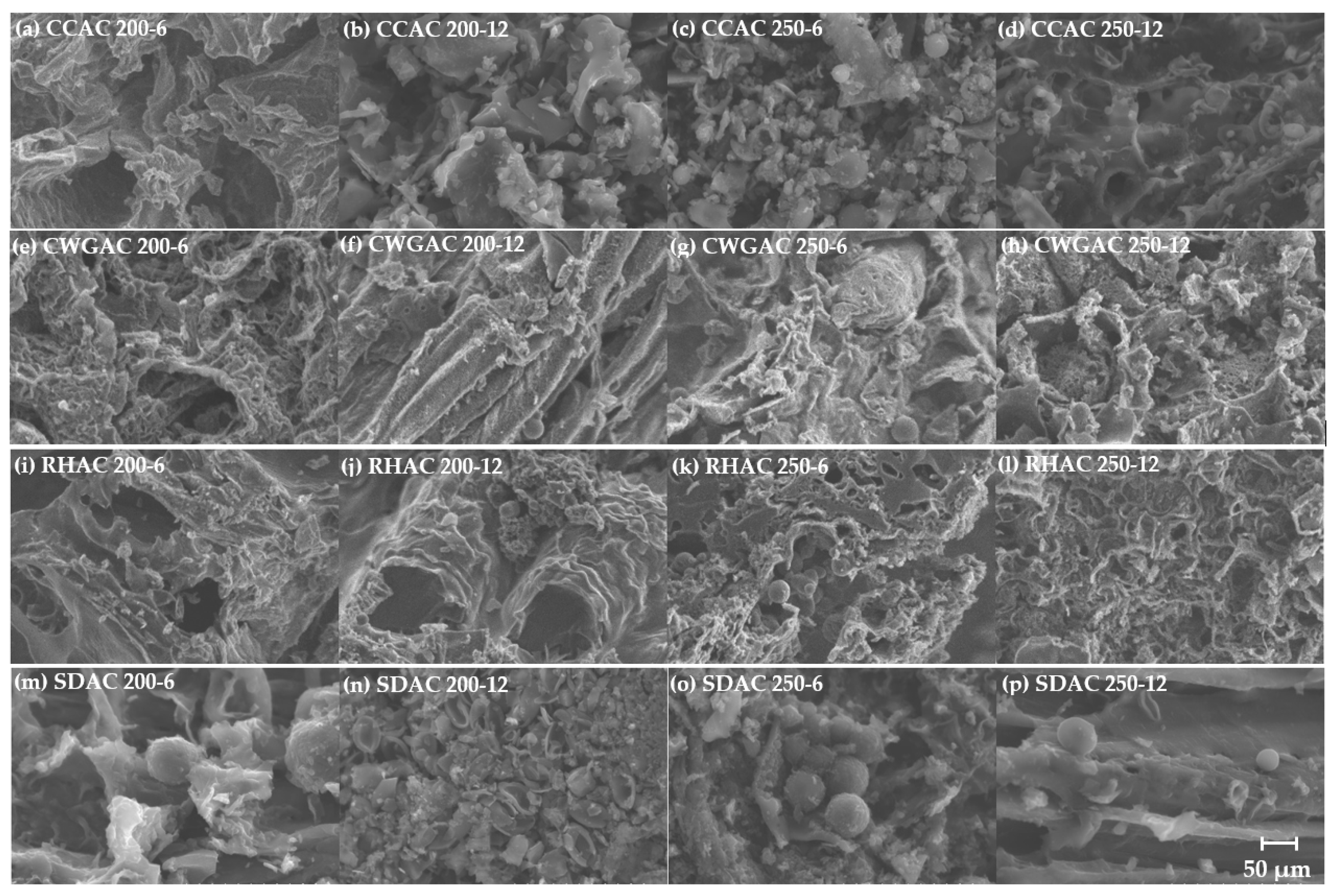Catalysts 10 00177 g004