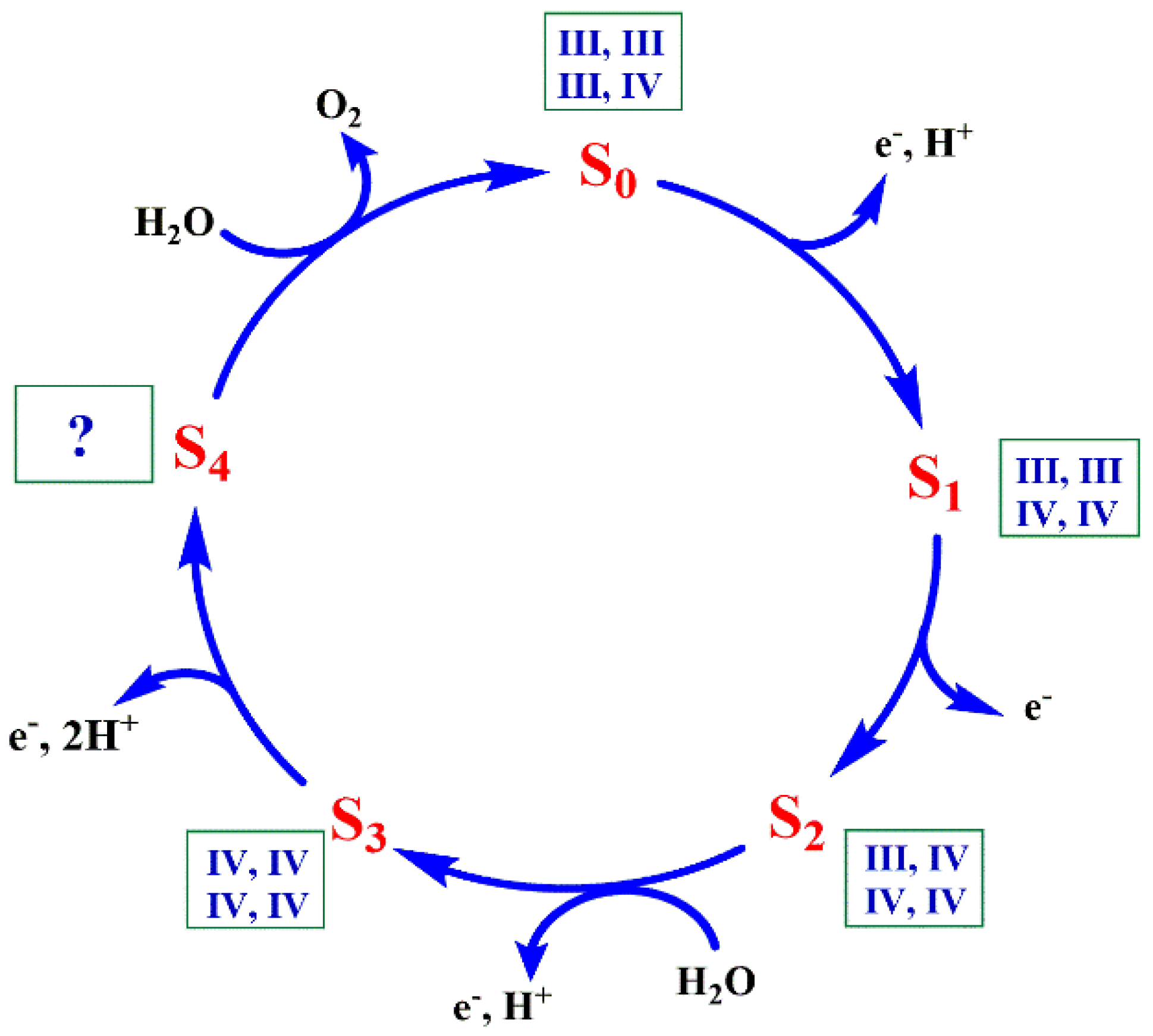 Catalysts 10 00185 g001 Catalysts 10 00185 g001