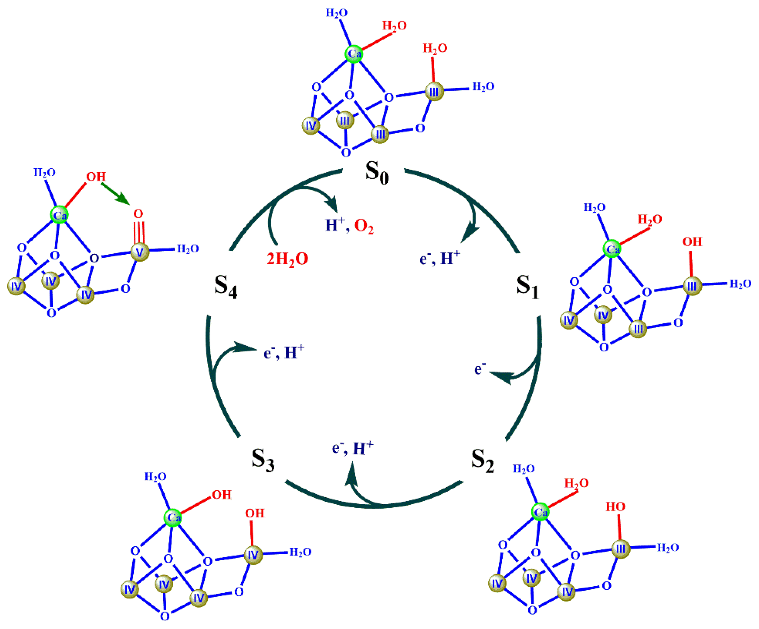 Catalysts 10 00185 g003 Catalysts 10 00185 g003