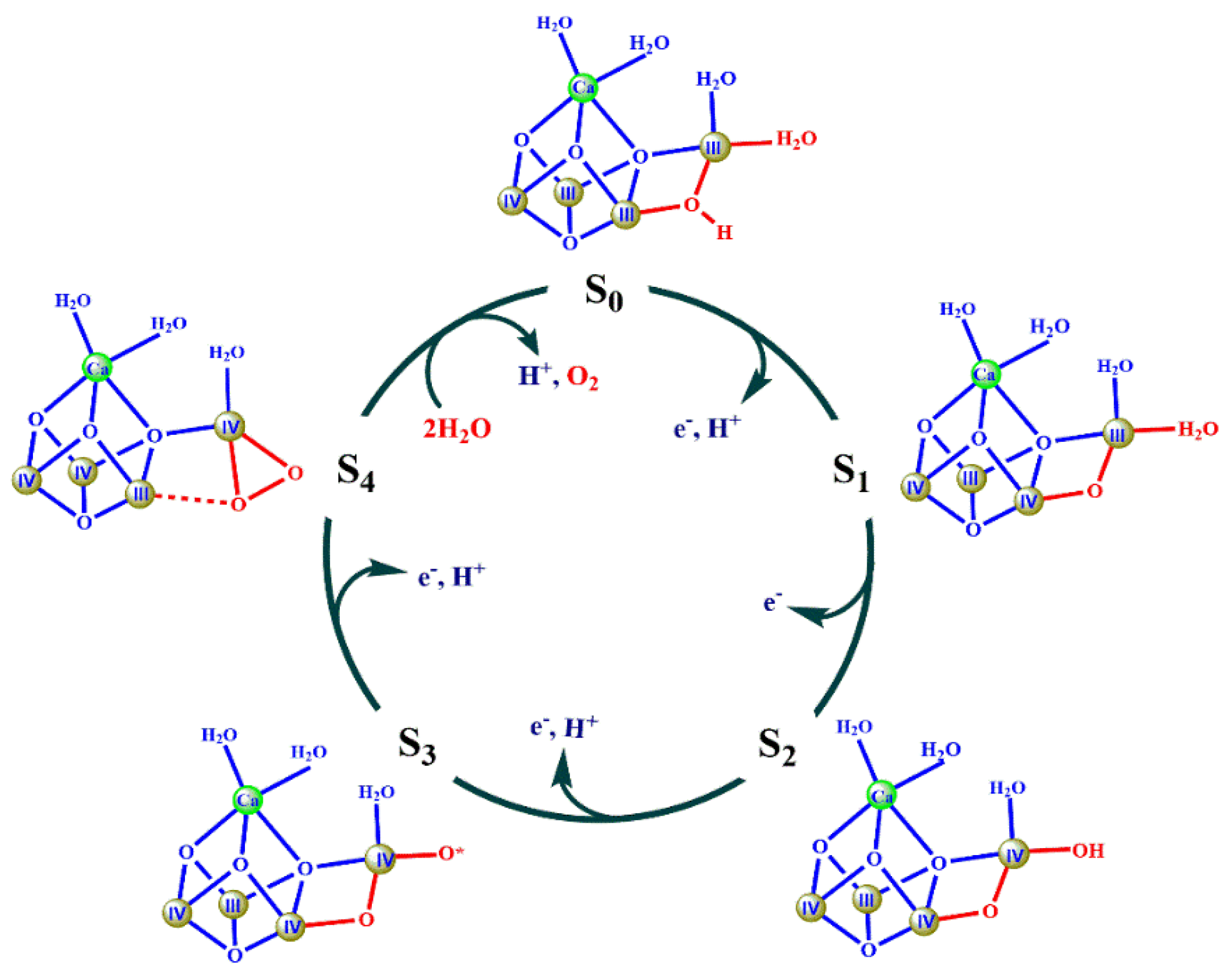 Catalysts 10 00185 g004 Catalysts 10 00185 g004