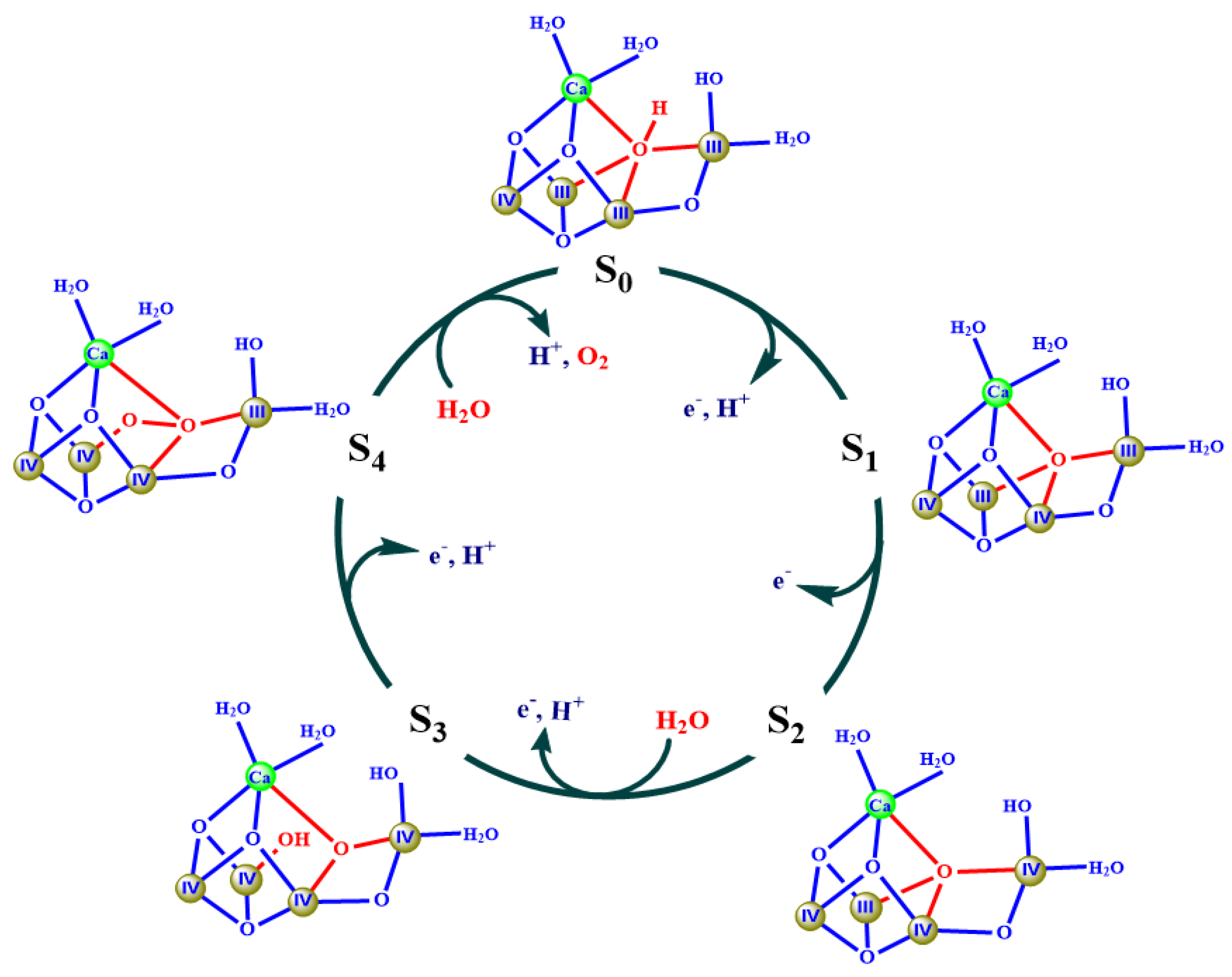 Catalysts 10 00185 g005 Catalysts 10 00185 g005