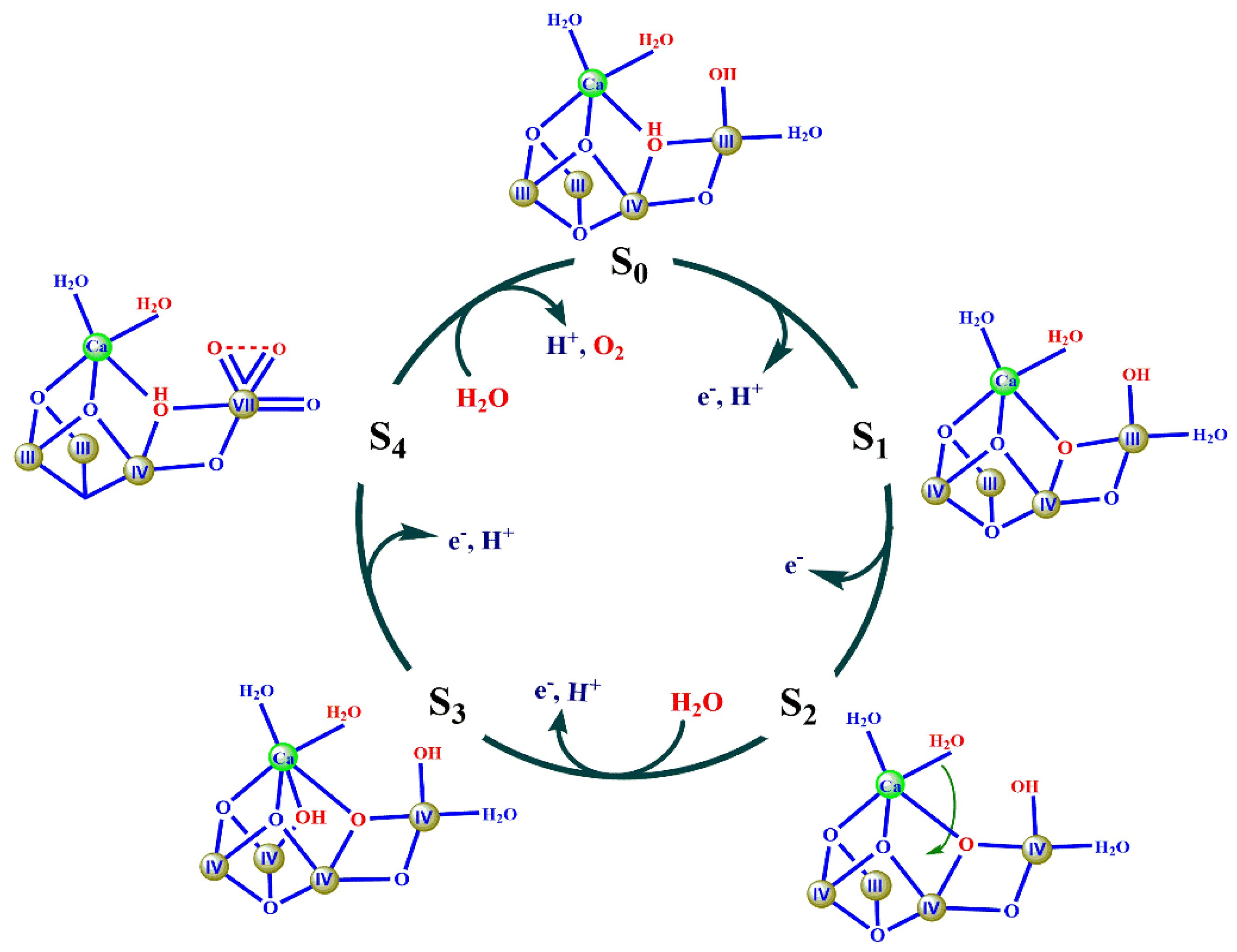 Catalysts 10 00185 g006 Catalysts 10 00185 g006