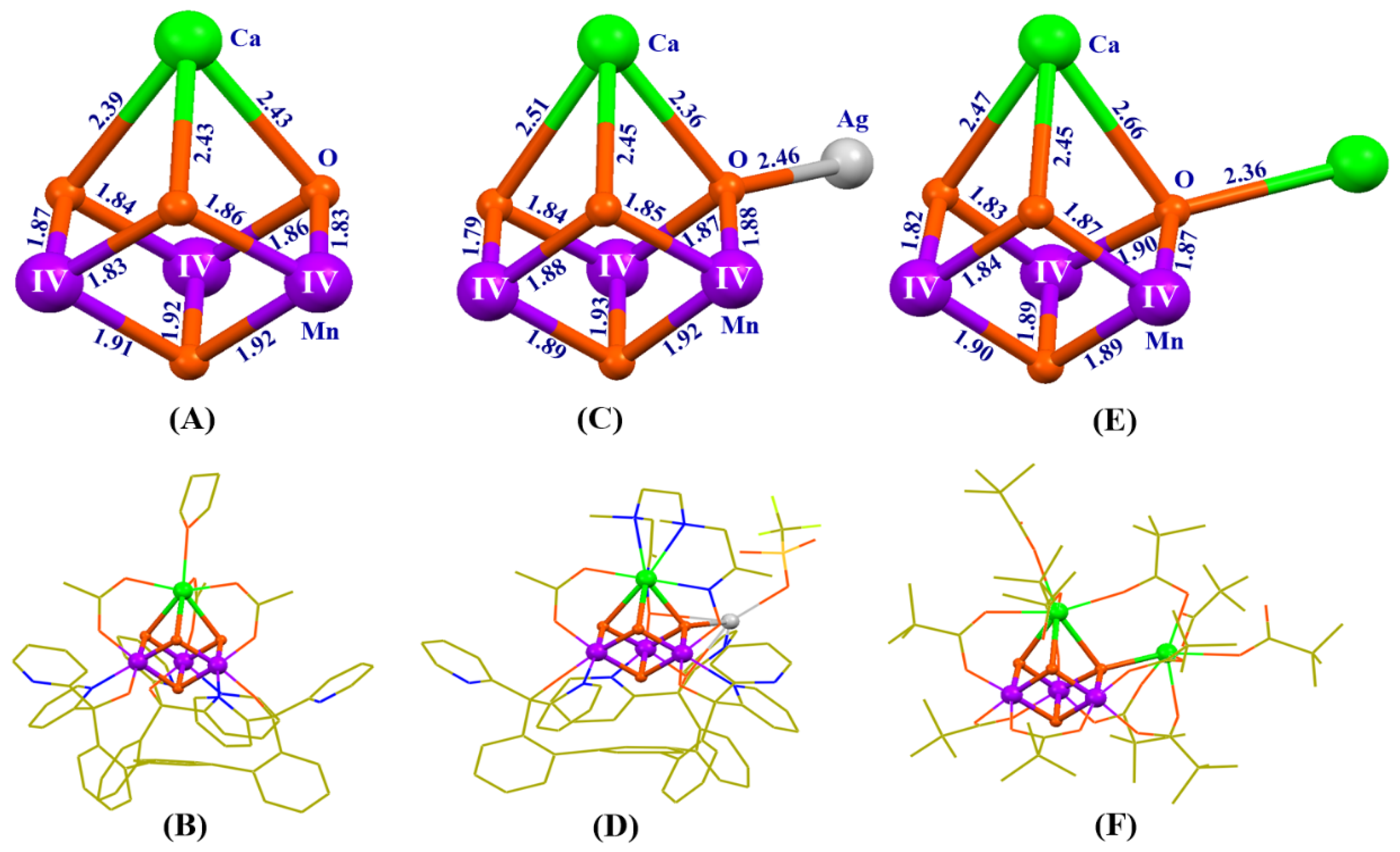 Catalysts 10 00185 g007 Catalysts 10 00185 g007