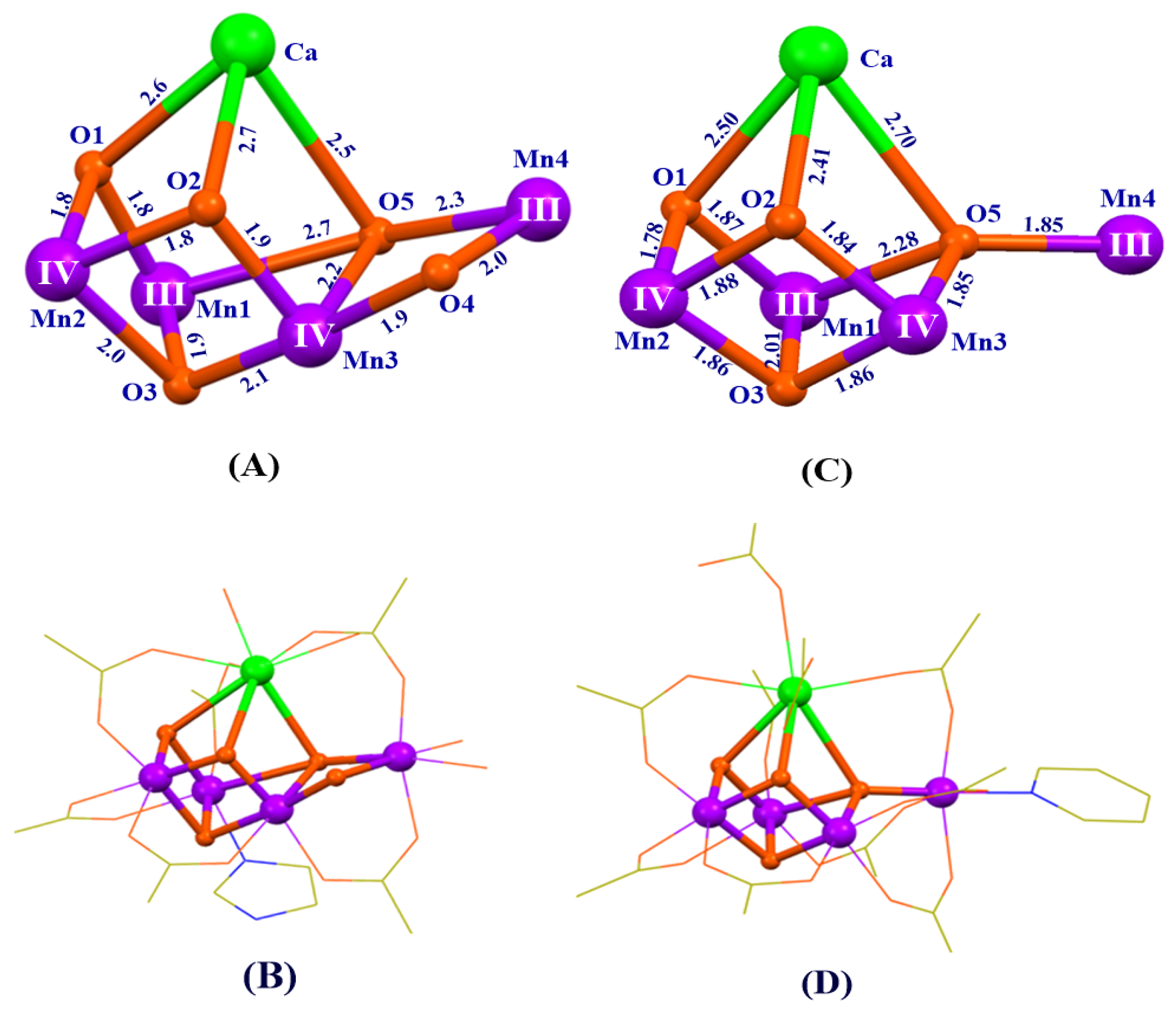 Catalysts 10 00185 g009 Catalysts 10 00185 g009