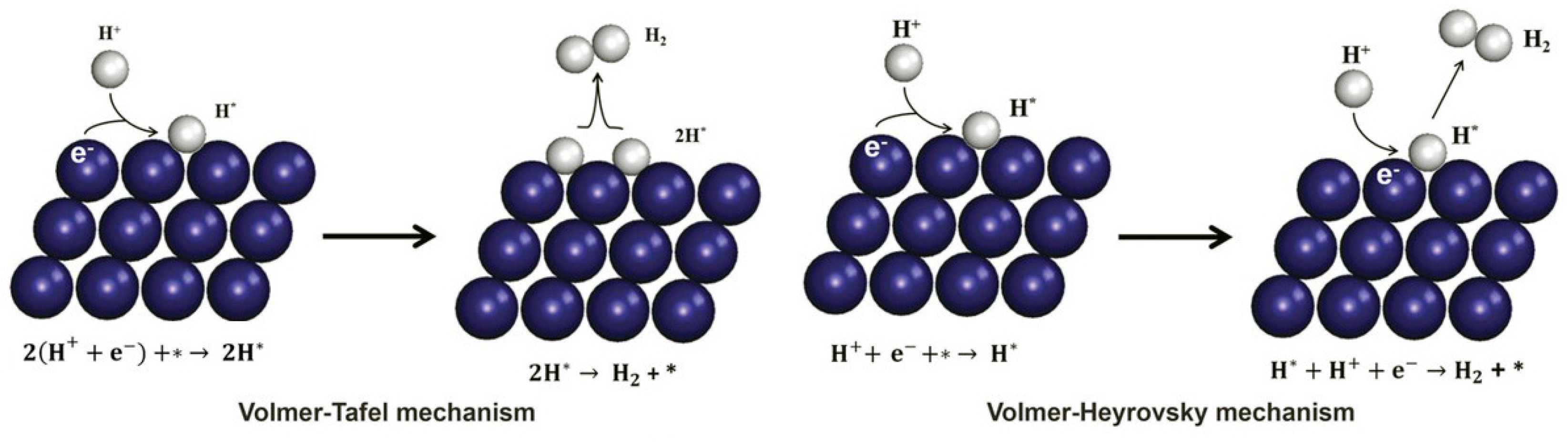 Catalysts 10 00188 g001