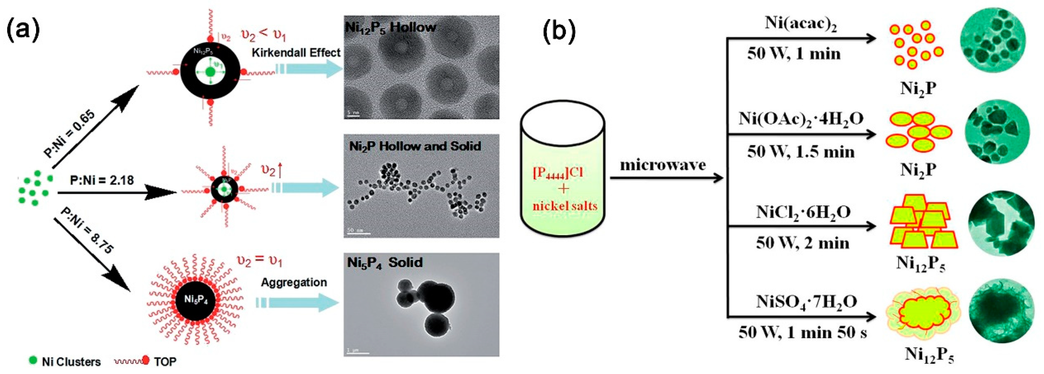 Catalysts 10 00188 g004