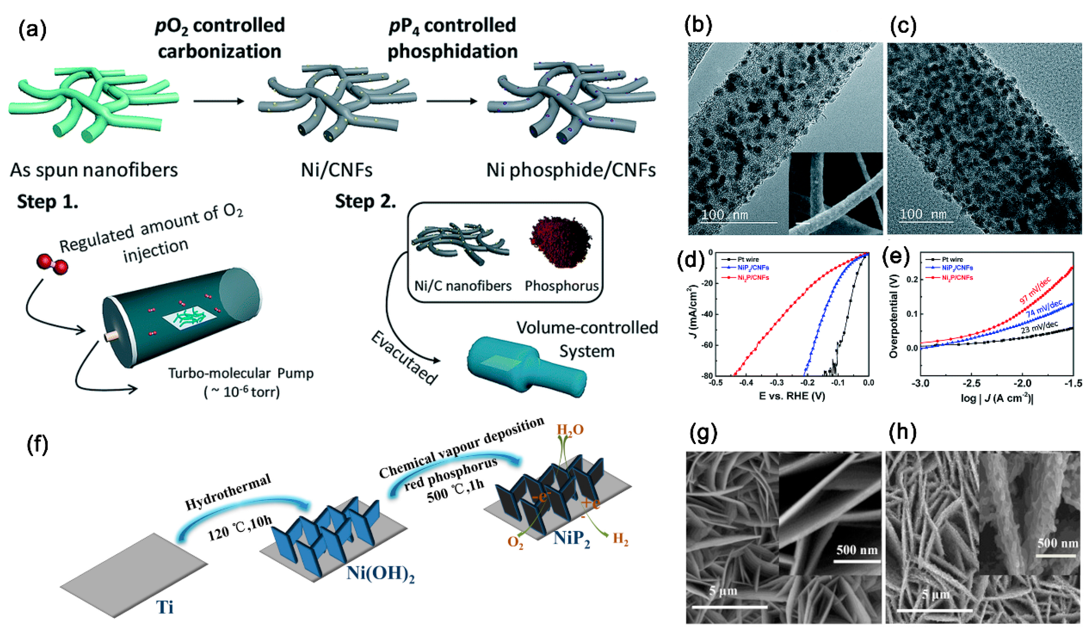 Catalysts 10 00188 g011
