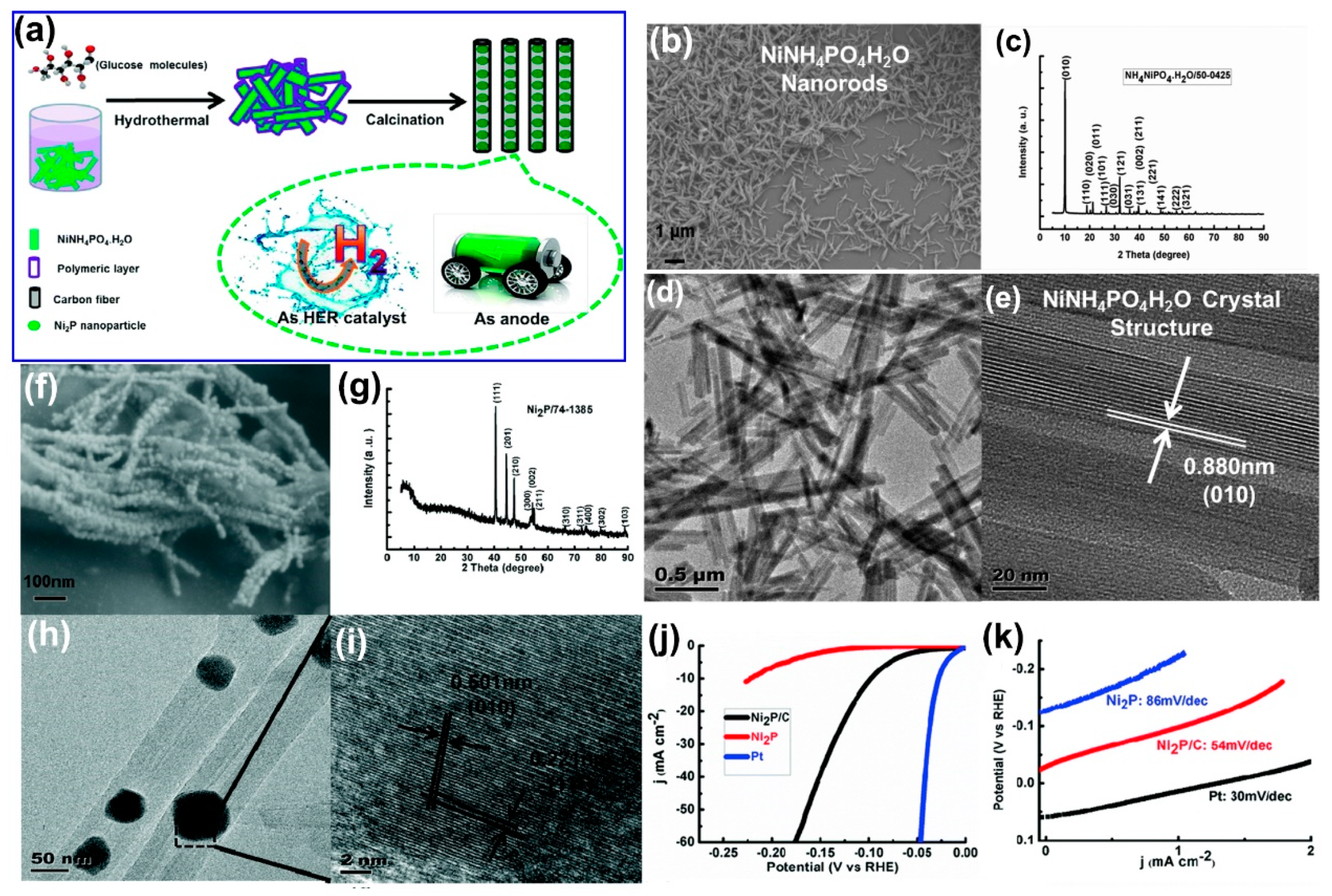 Catalysts 10 00188 g012