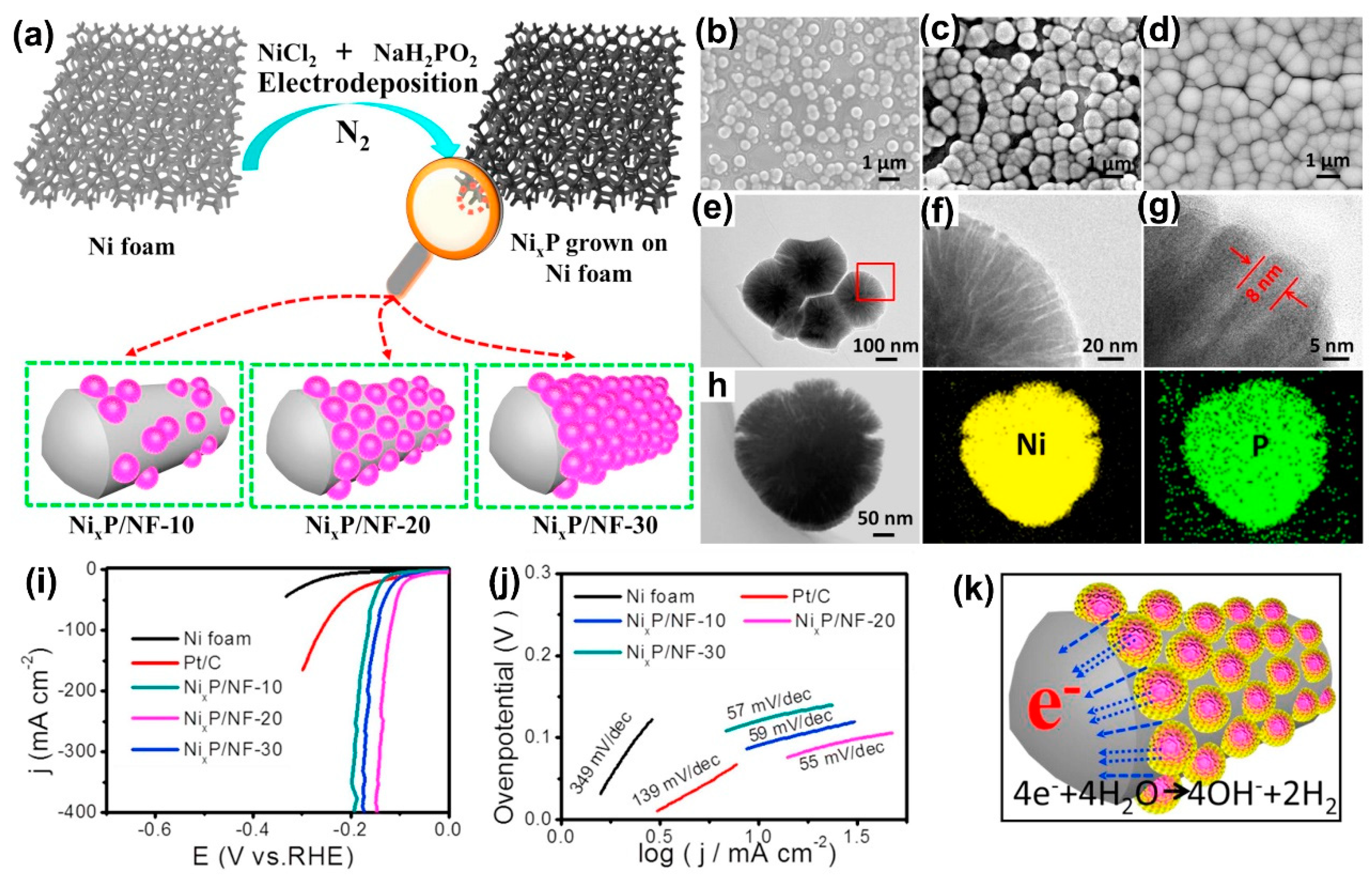 Catalysts 10 00188 g013