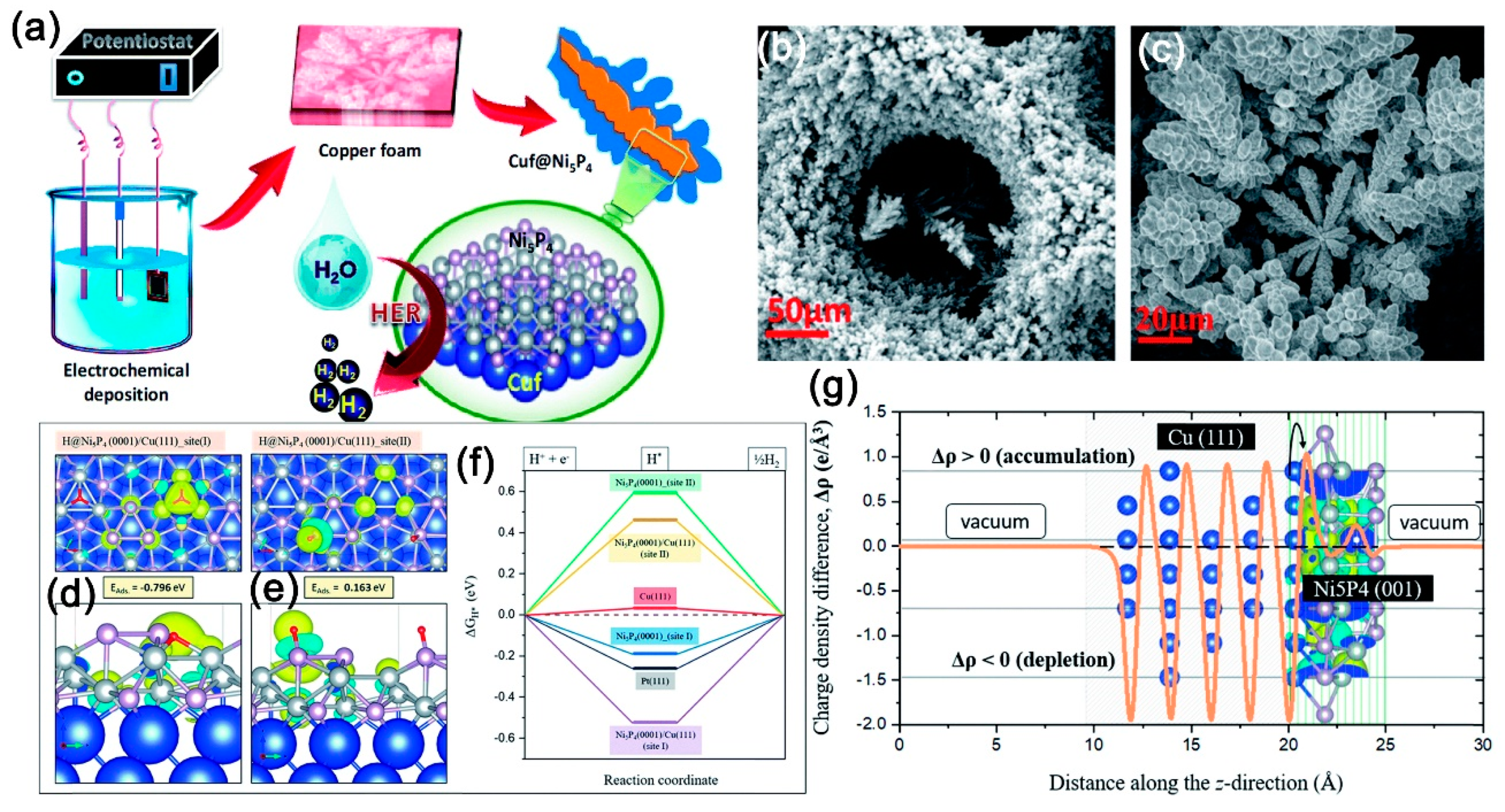 Catalysts 10 00188 g014